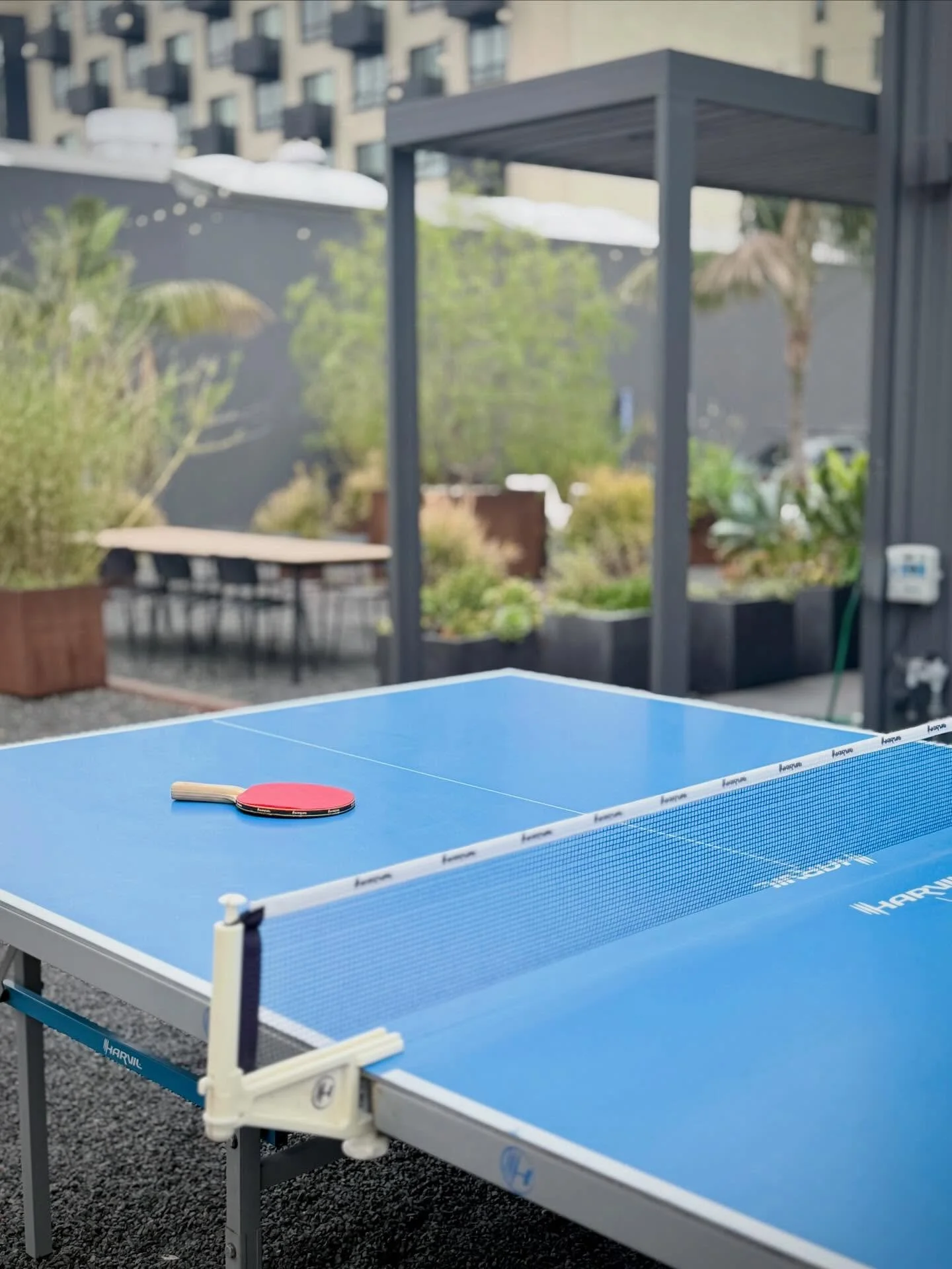 Table tennis, anyone?