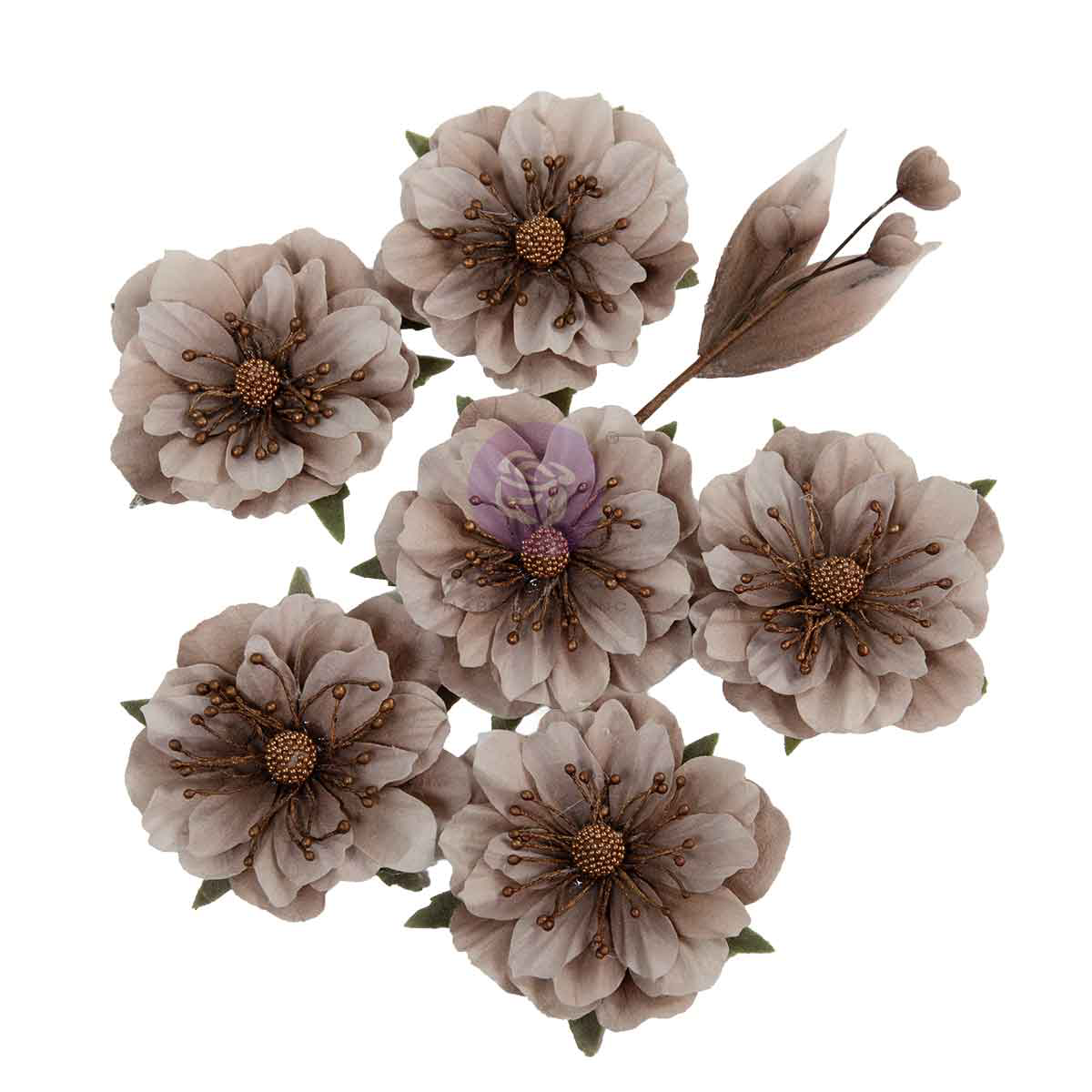 Image 9-4-26 at 10.40 AM (1).png