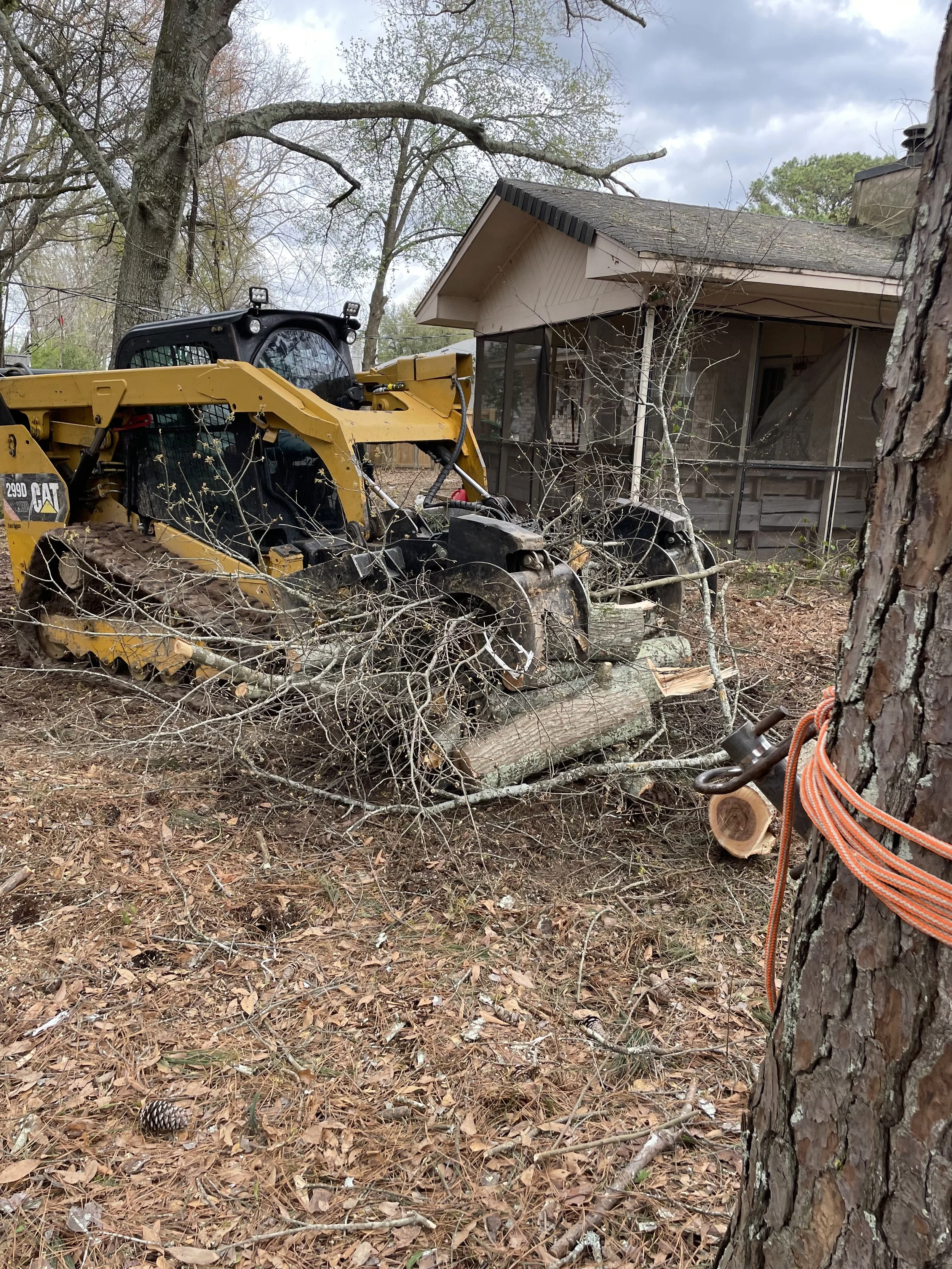Tree Removal and Clean-Up