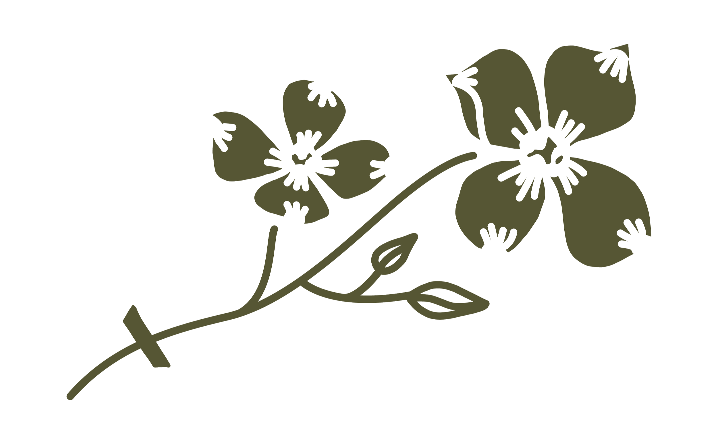A black outline illustration of a flowering plant with large petals and a branching stem.