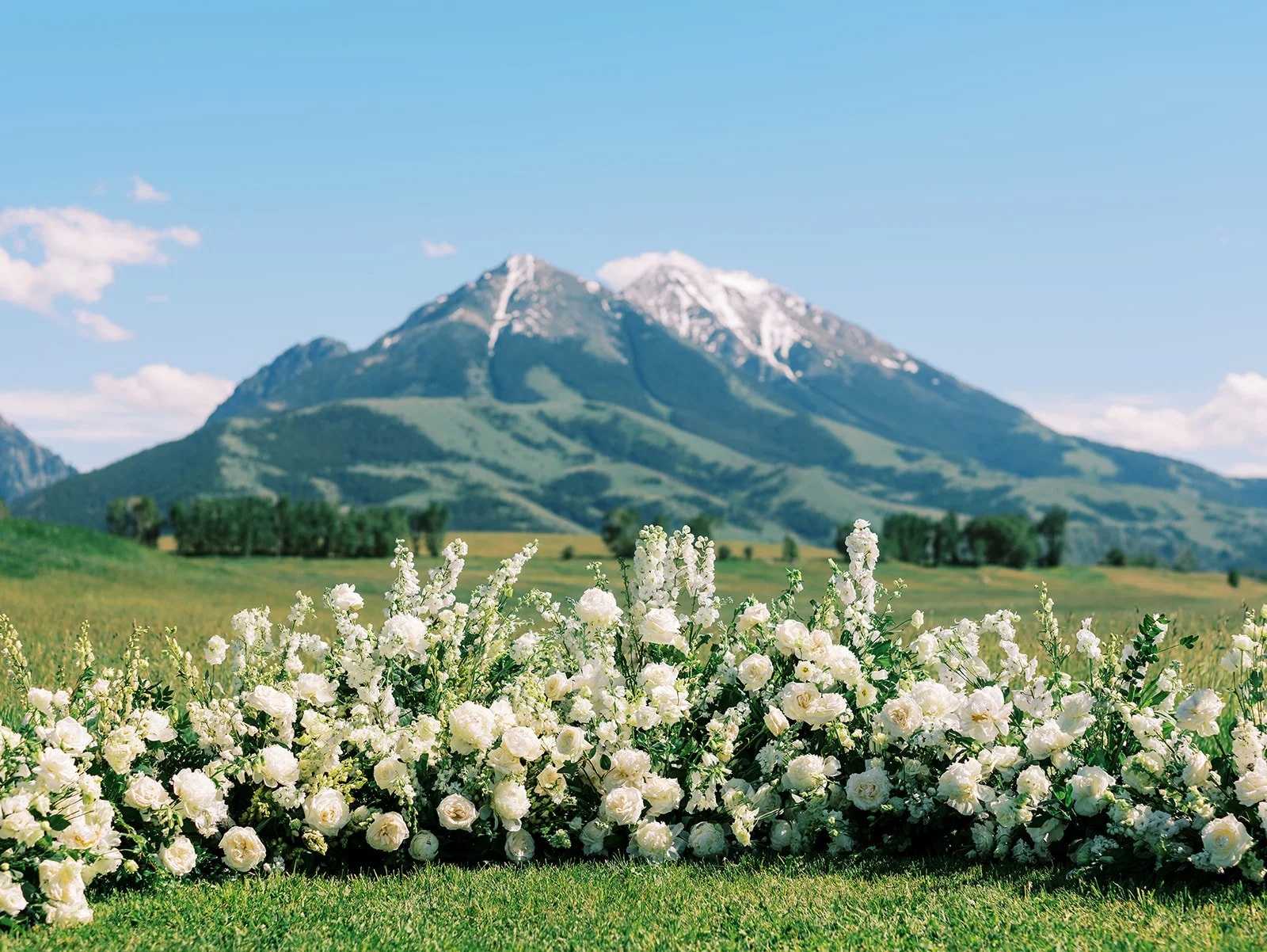 A scenic view of a mountain with snowy peaks in the background, lush green slopes, and a foreground filled with white flowering plants.