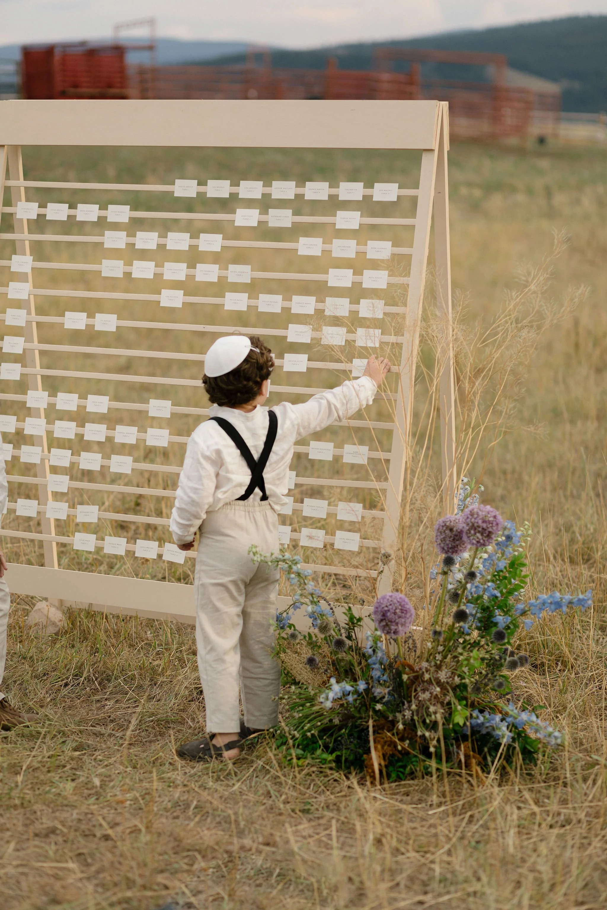 A young boy in traditional Jewish attire, including a kippah and suspenders, reaching out to add a white card to a wooden display board outdoors, with flowers and dry grass in the foreground, and hills and a wooden fence in the background.
