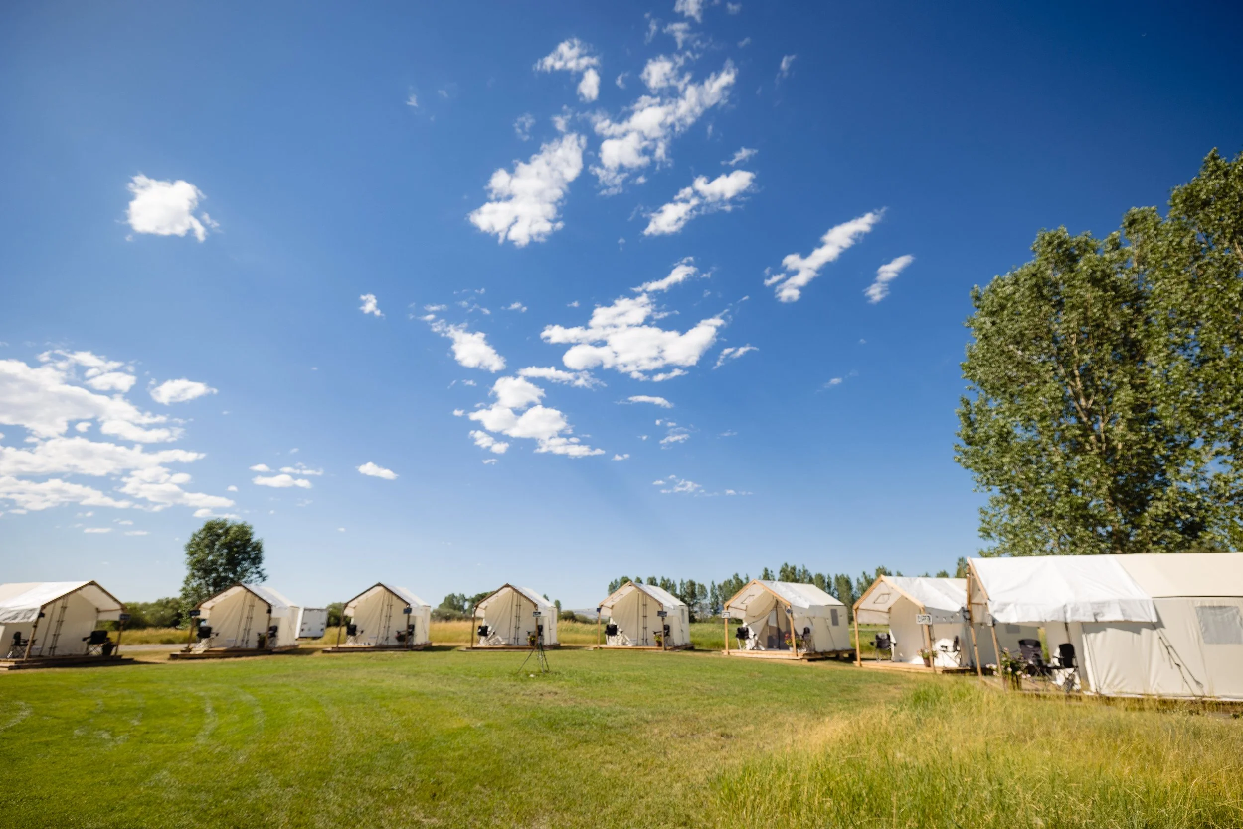 Row of white tents set up on green grass under a bright blue sky with scattered white clouds and a large tree on the right side.
