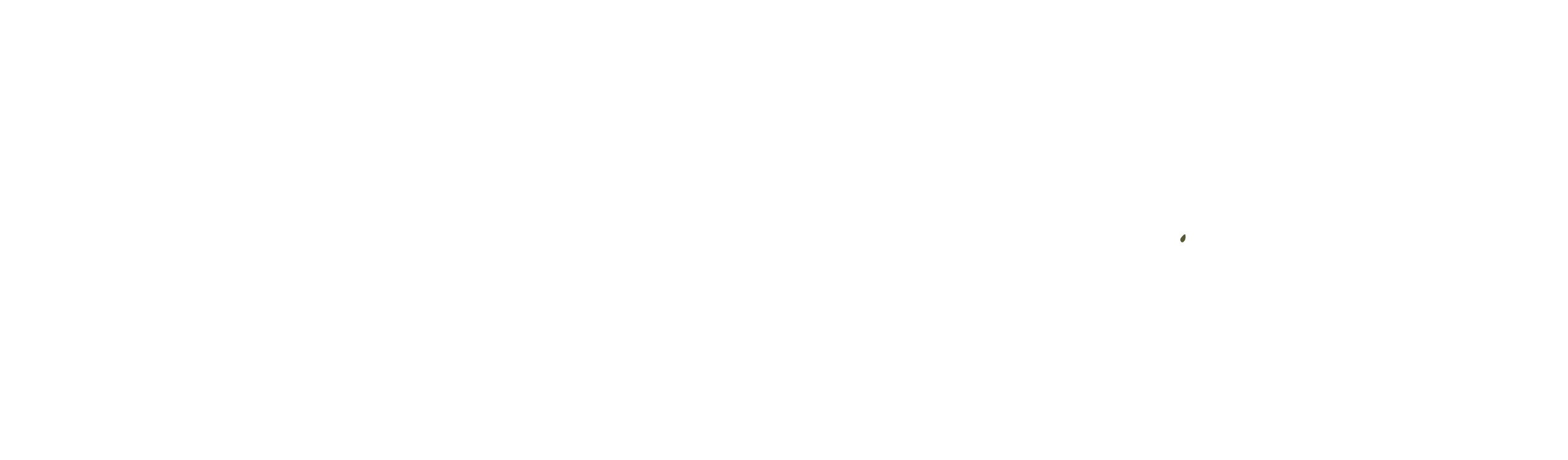 Text that reads "Always be your own ROUGE" in a combination of cursive and serif fonts, with the words arranged artistically.