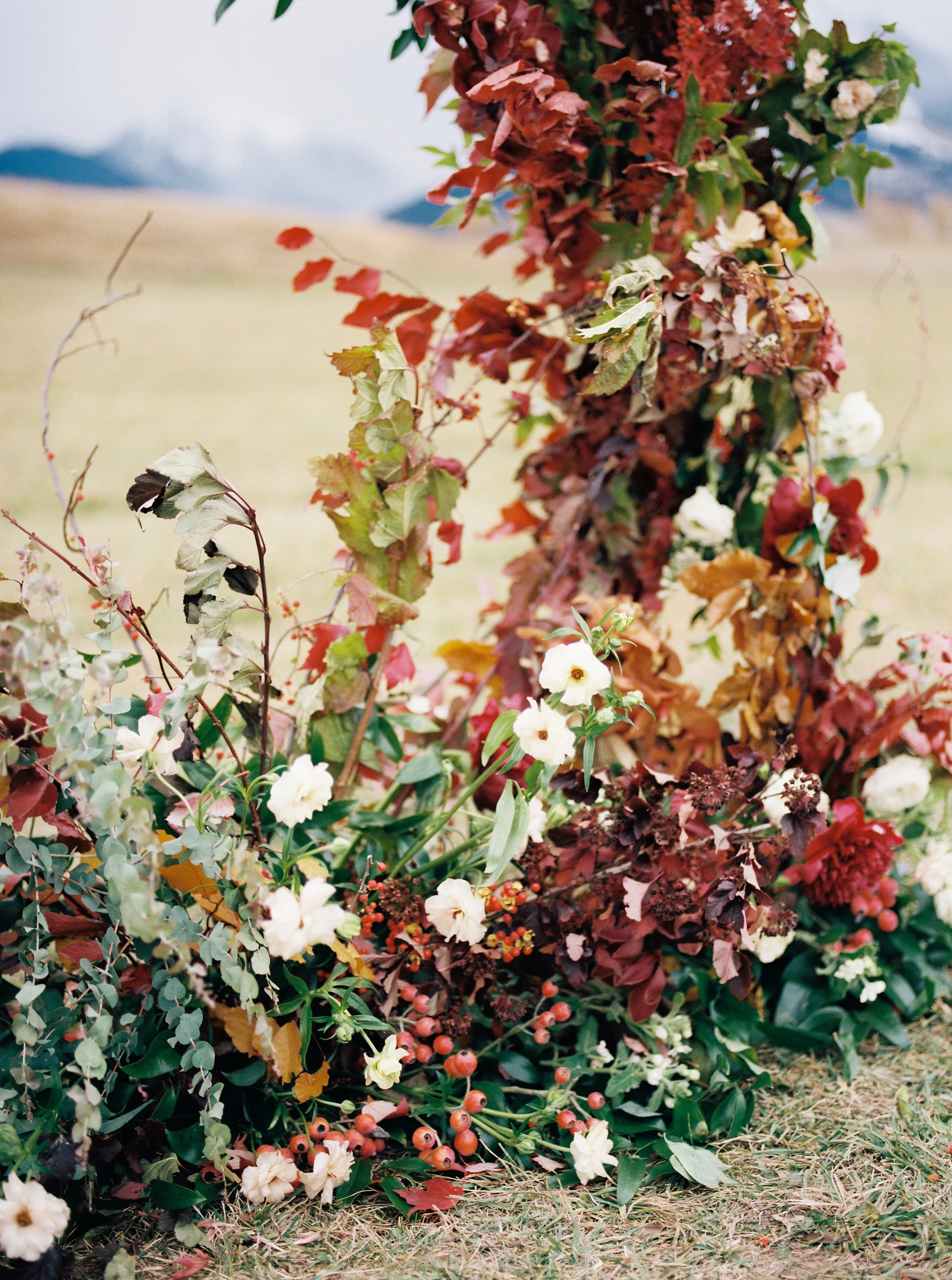 Dramatic ceremony floral installation with deep red, burgundy, and wildflower blooms set against a Montana mountain landscape, by Wild Blume