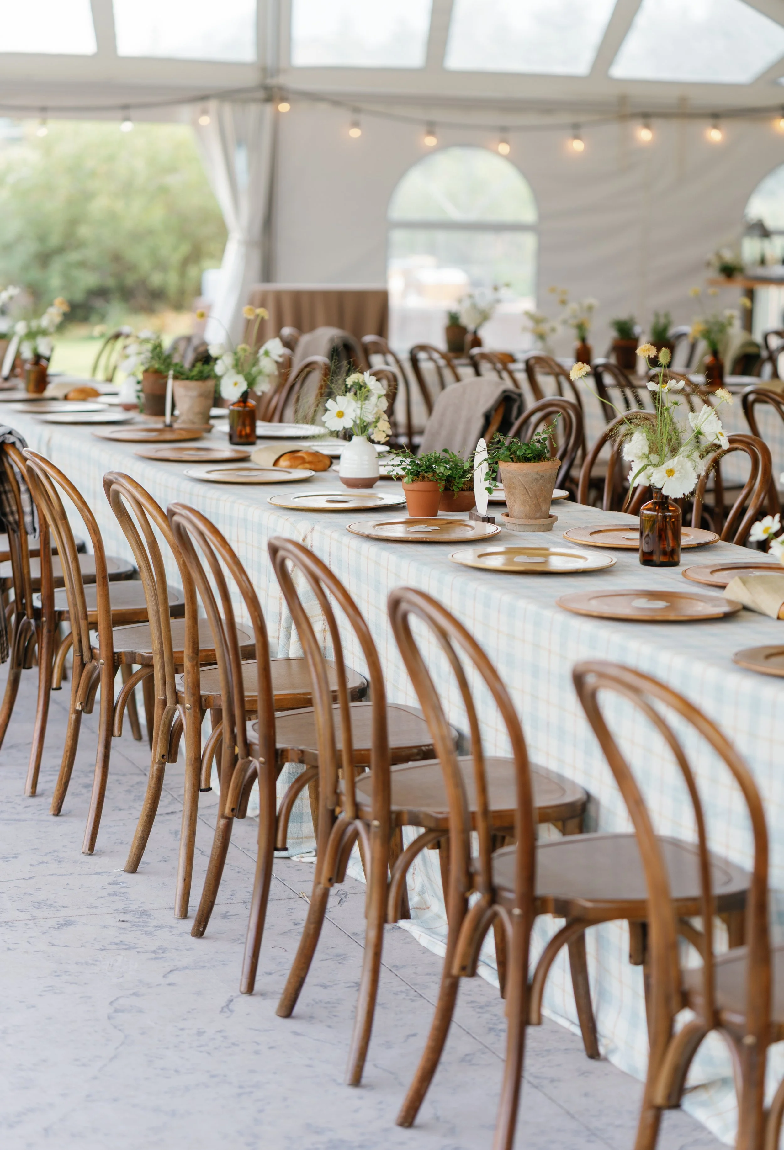 Long table set up for a celebration with wooden chairs, potted and vase flowers, and plates with bread, inside a bright tent with strings of lights.