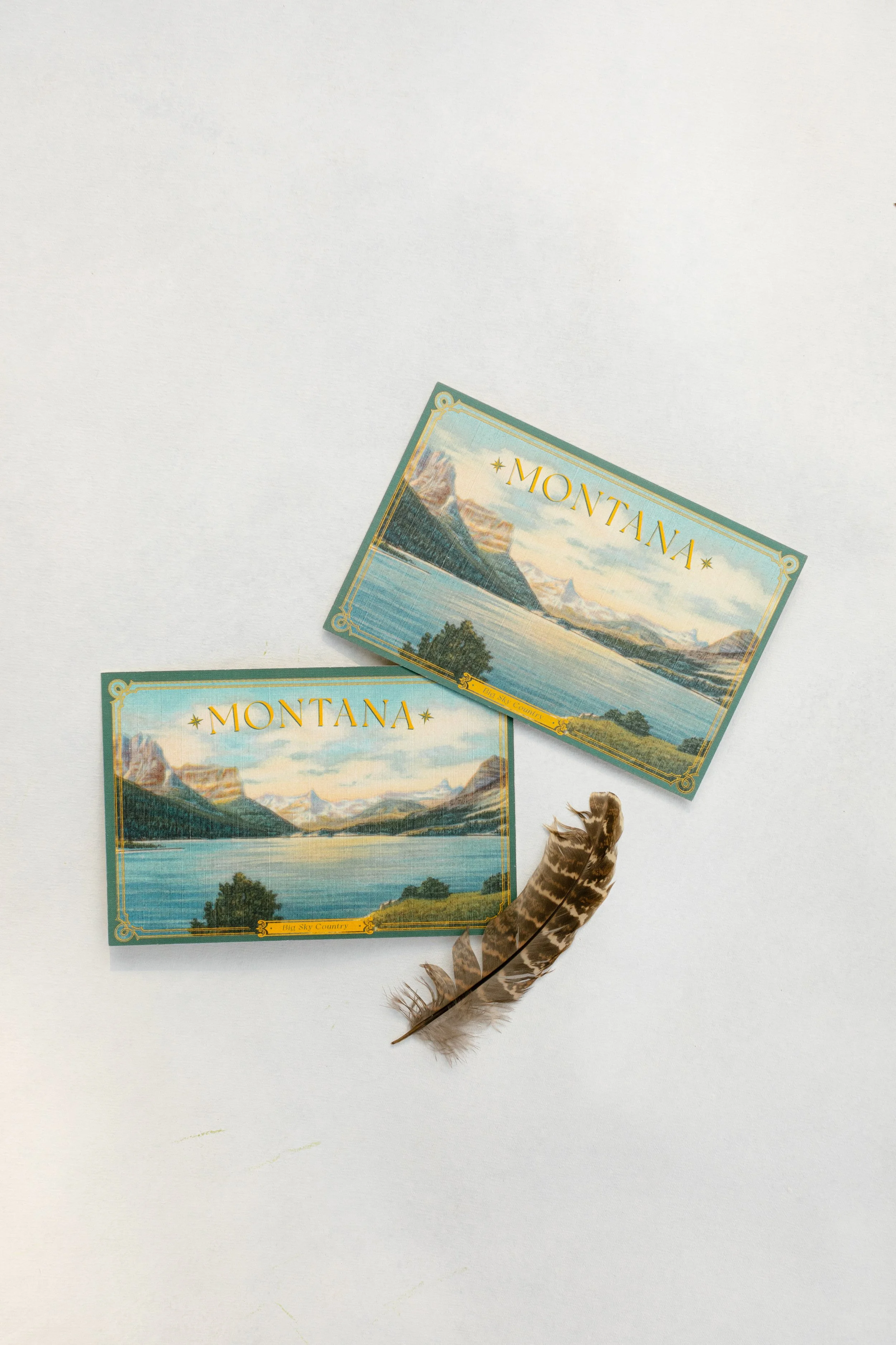 Two Montana travel brochures, a feather, and a small animal paw and leg on a white background.