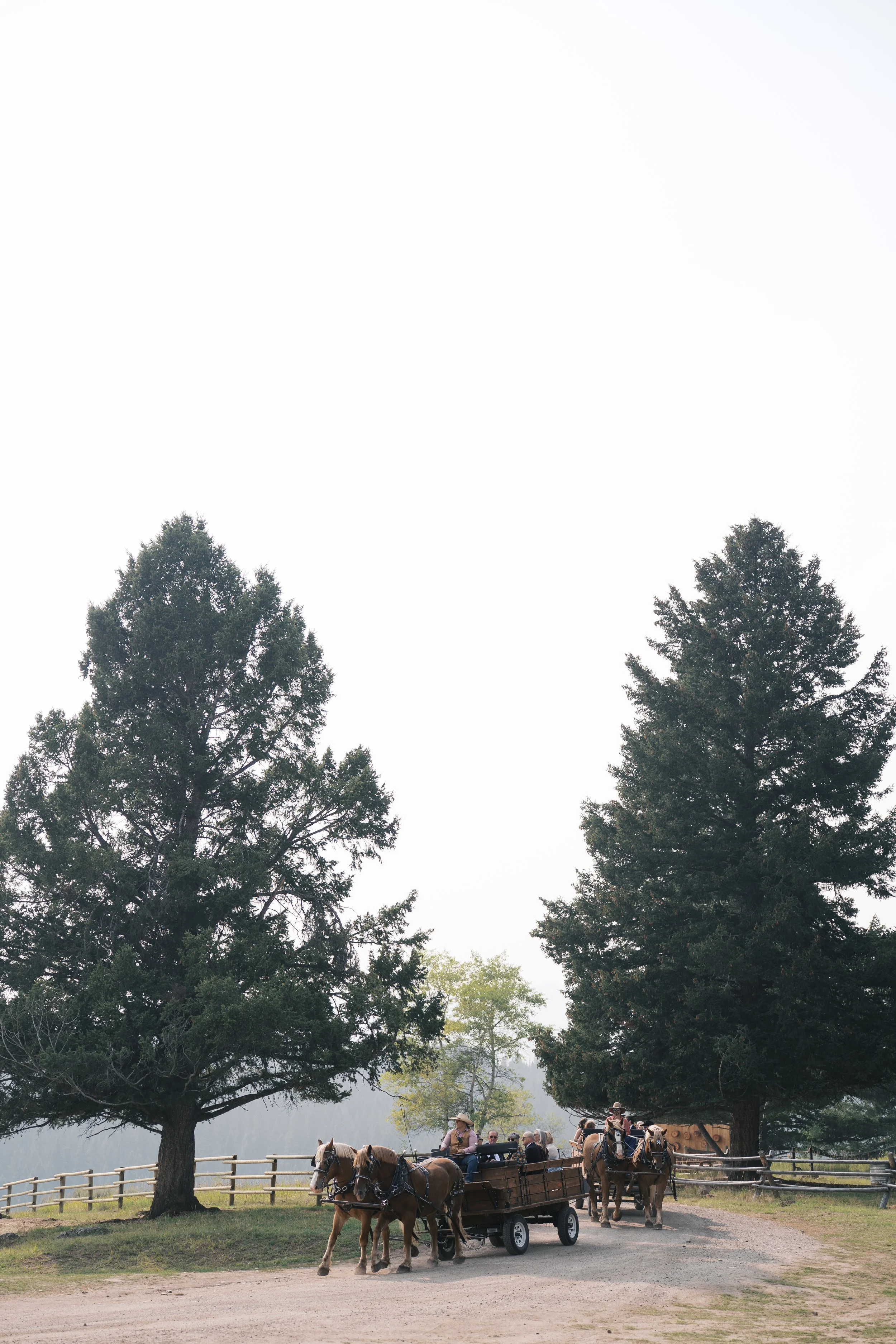 lone.mountain.ranch.wedding.elizabethlanier.ceremony-9.jpg