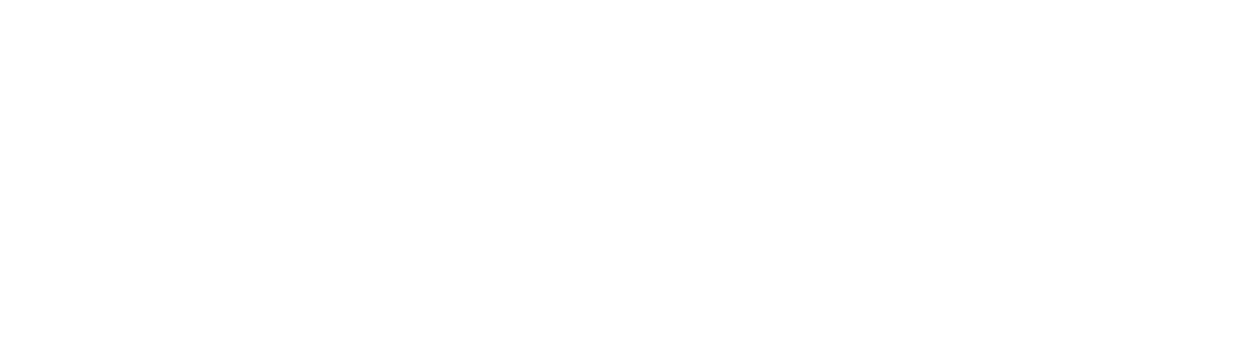White handwritten style text on black background that reads 'the knot'.