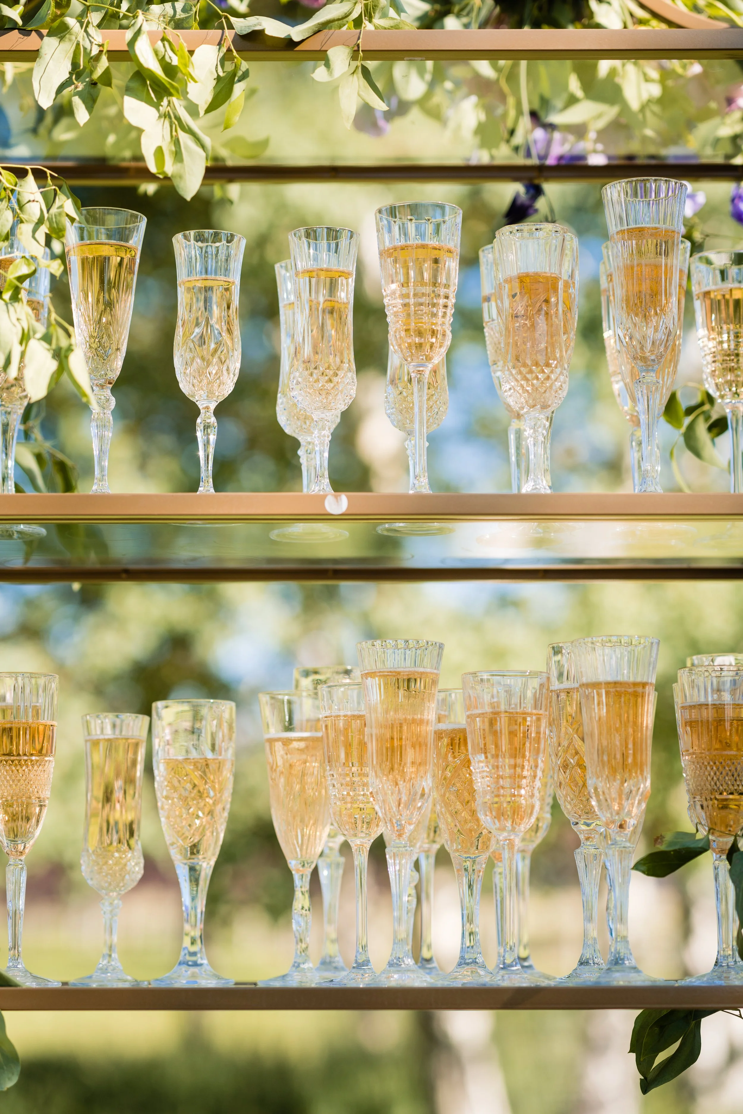 Multiple crystal champagne flutes filled with champagne, arranged on a glass shelf outdoors, with green leaves and blurry trees in the background.