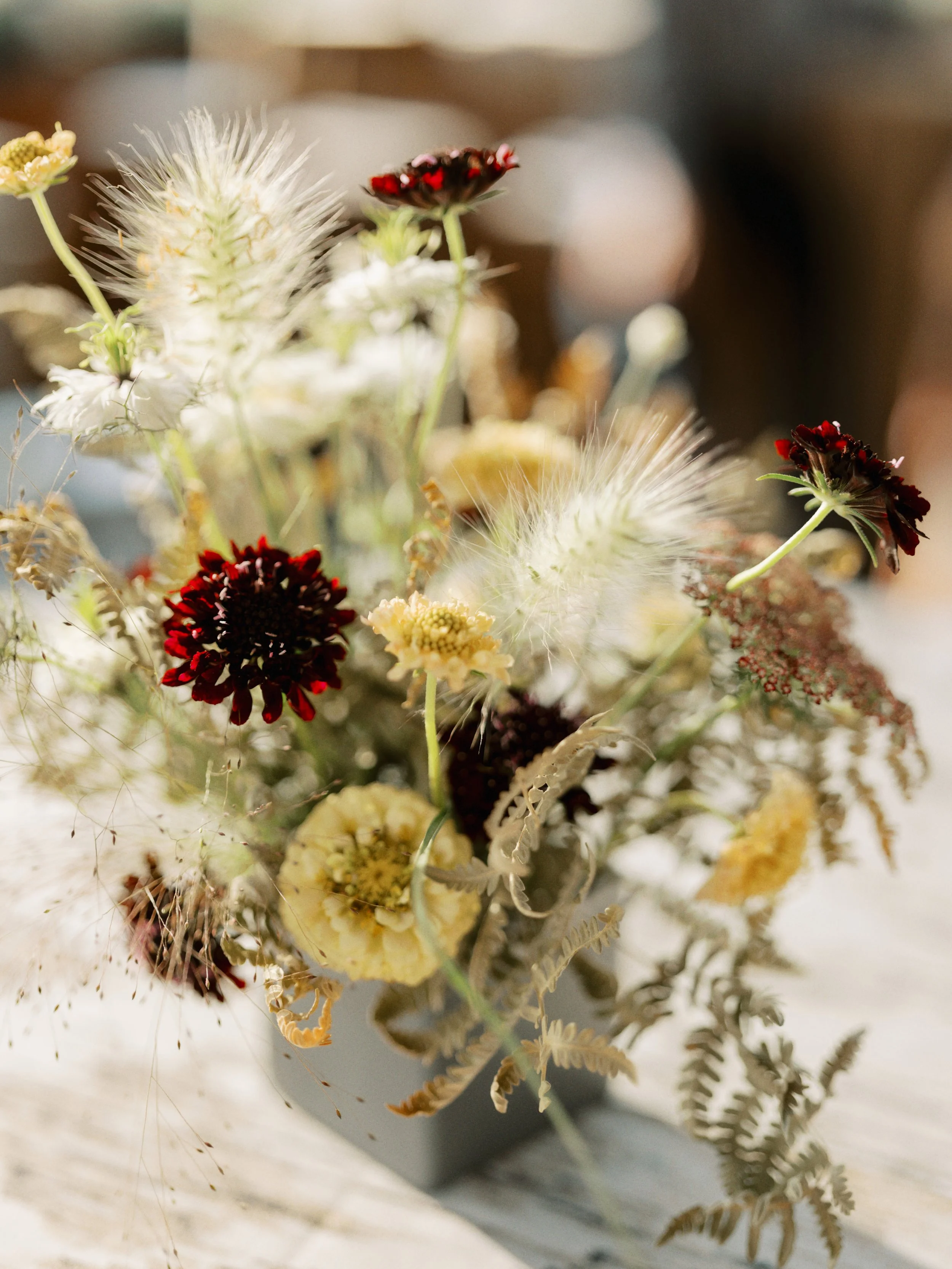 An arrangement of various dried flowers and foliage, including dark red, yellow, white, and cream-colored blooms on a soft-focus background.