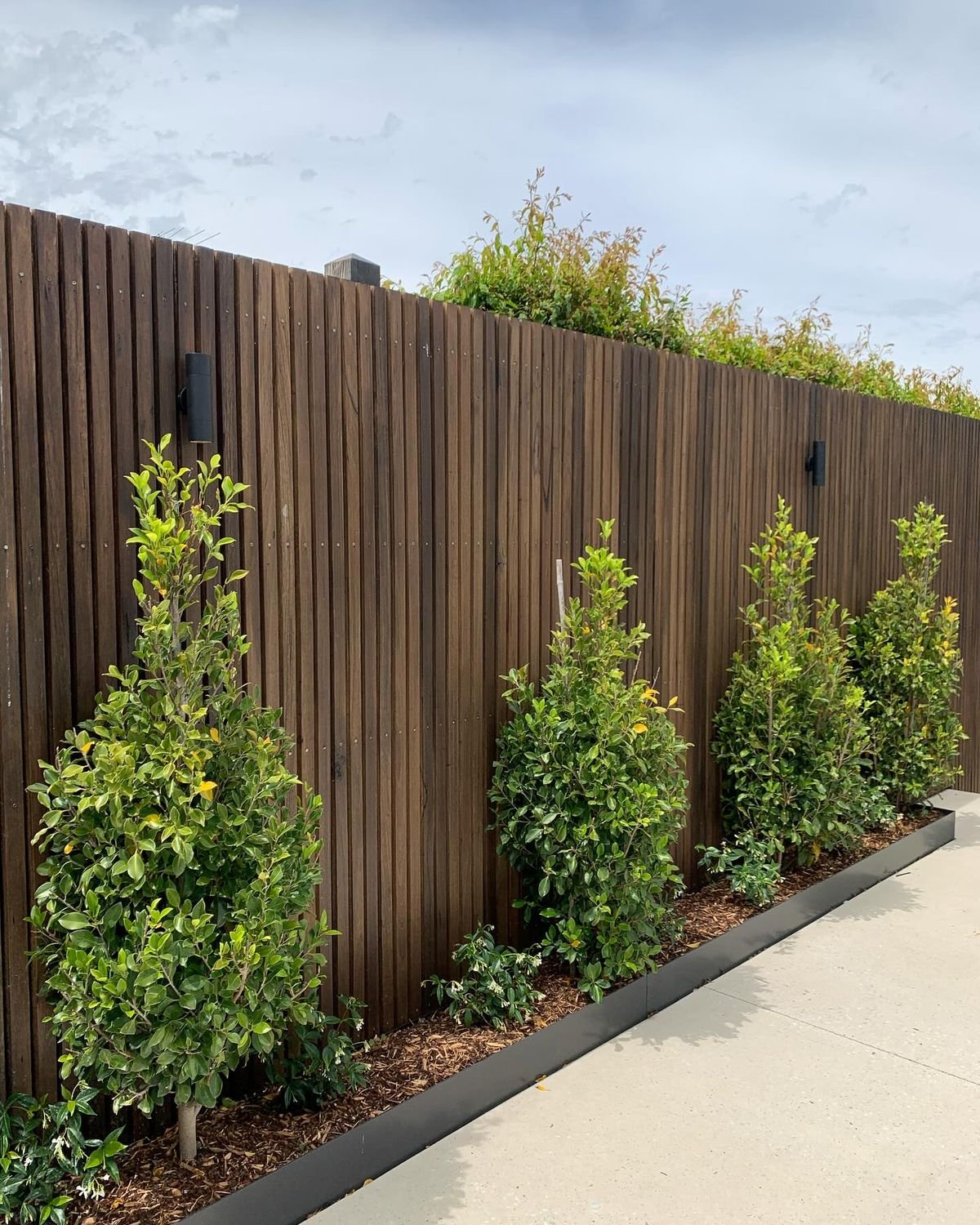 A wooden privacy fence with black outdoor lights, green shrubs along the base, and a concrete walkway in front, under a cloudy sky.