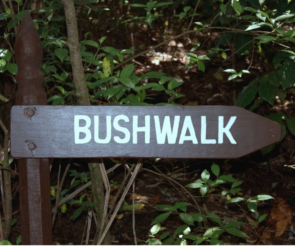 Bushwalk