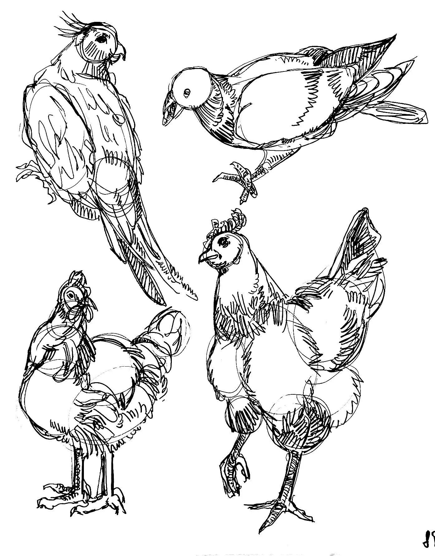 ink_26.jpg