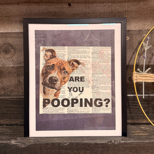 Are you pooping? Framed Picture