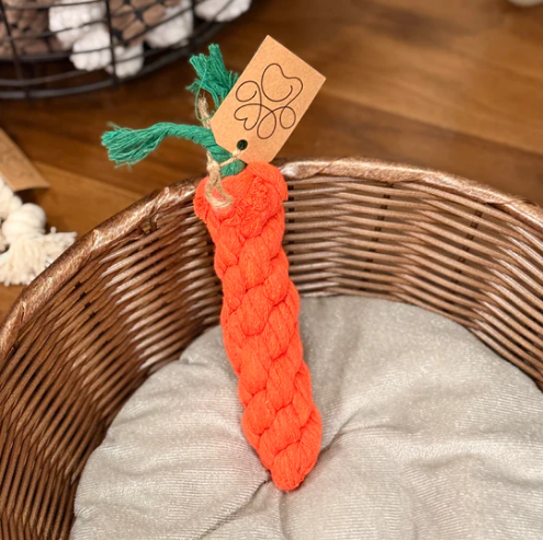 Carrot Dog Toy