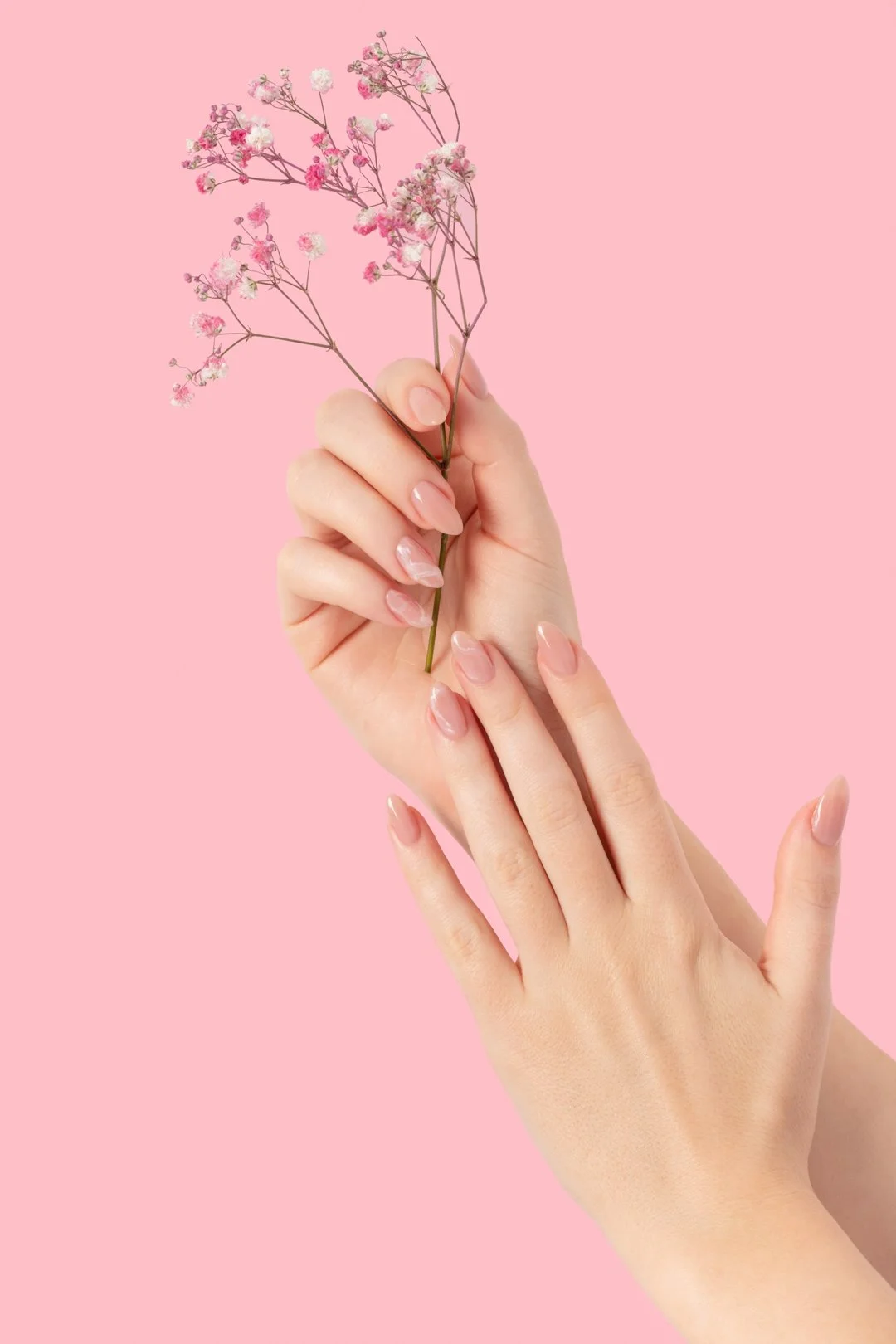 Two hands, one holding pink and white baby's breath flowers against a pink background.