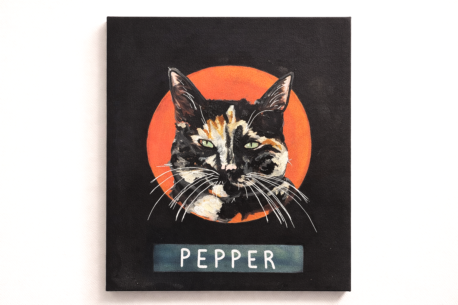Pepper+the+calico+cat+portrait.png