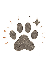 Portrait Revision Fee