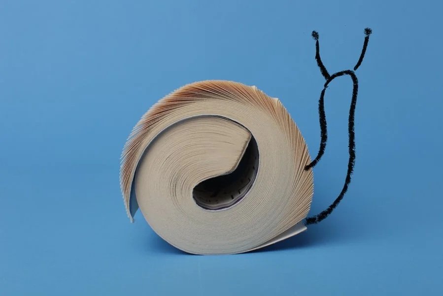 Tamara Shopsin: story about the "Slow Reading" trend