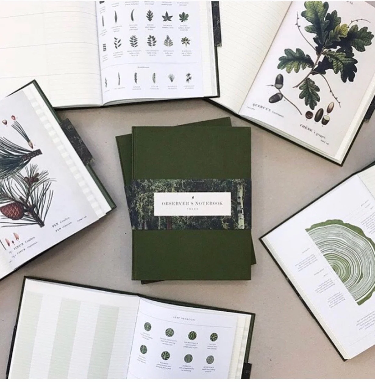 The Observers Notebooks