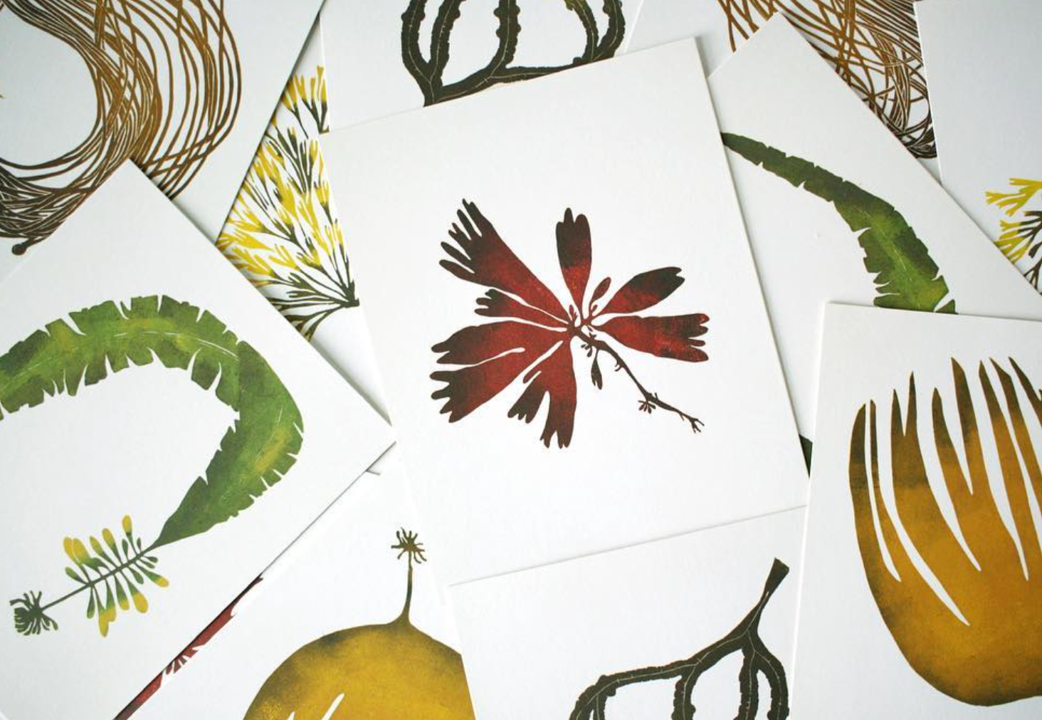 Art Acquisition for Notecards: Botanical