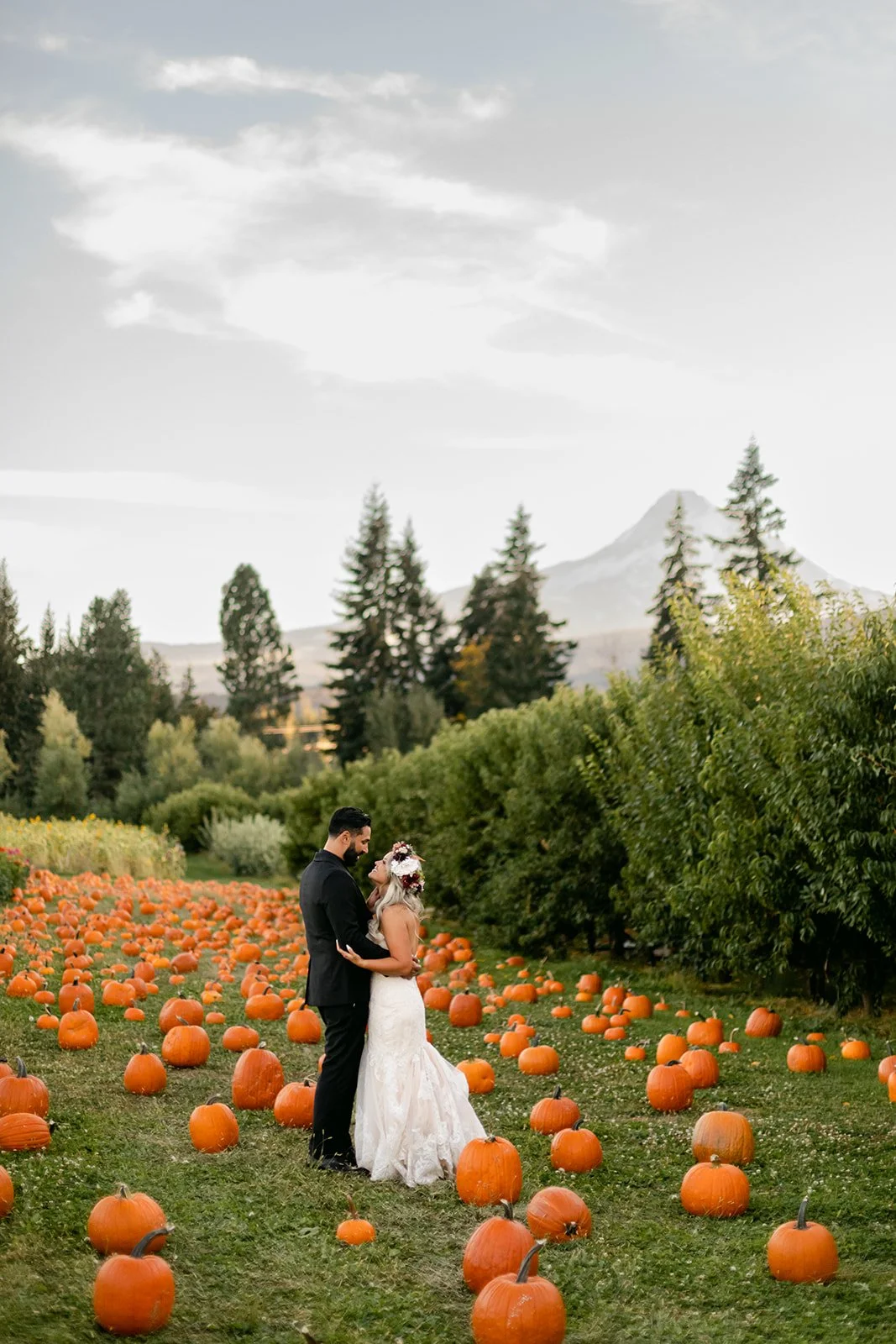 Australia meets Oregon - Two Hemispheres, One Orchard | A Hood River Wedding at Mt. View Orchards