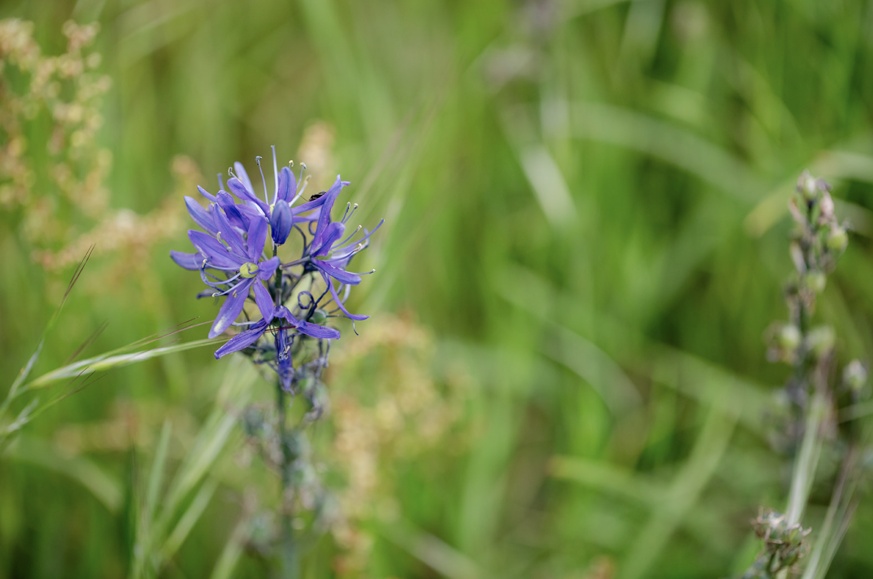 Screenshot 2026-03-20 at 1.53.22 PM.png