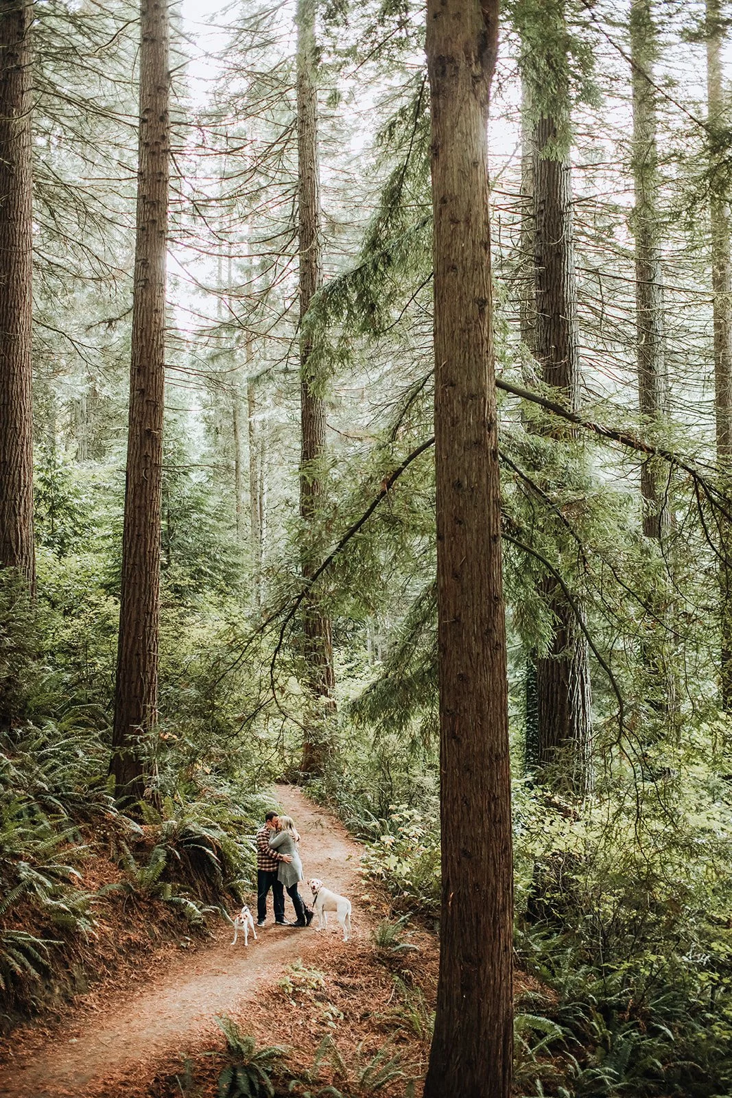 Allie &amp; Ryan | An Engagement Session at Hoyt Arboretum in Portland, Oregon