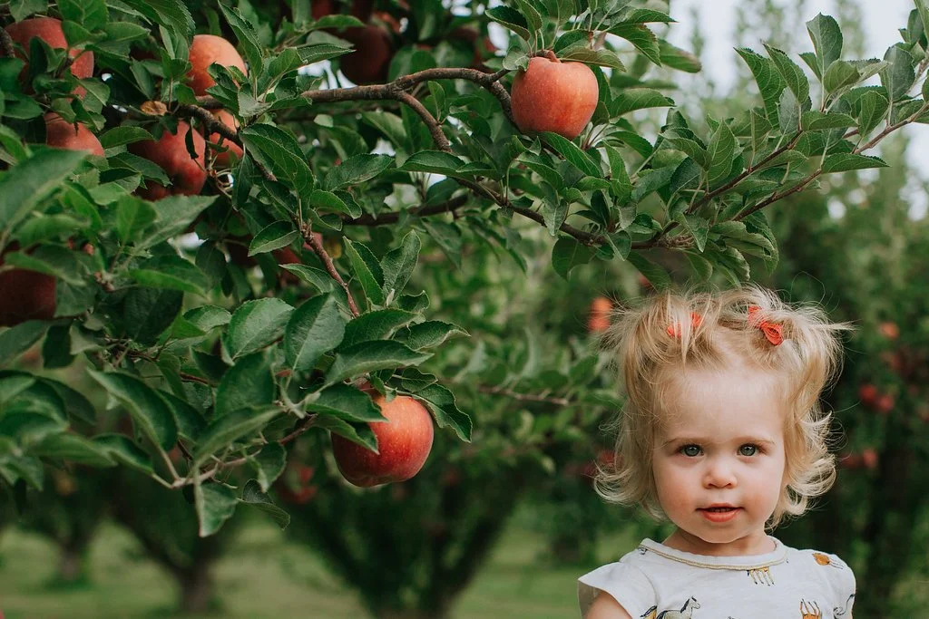 Dasha and Cameron: An Apple Orchard Family Session in Idaho