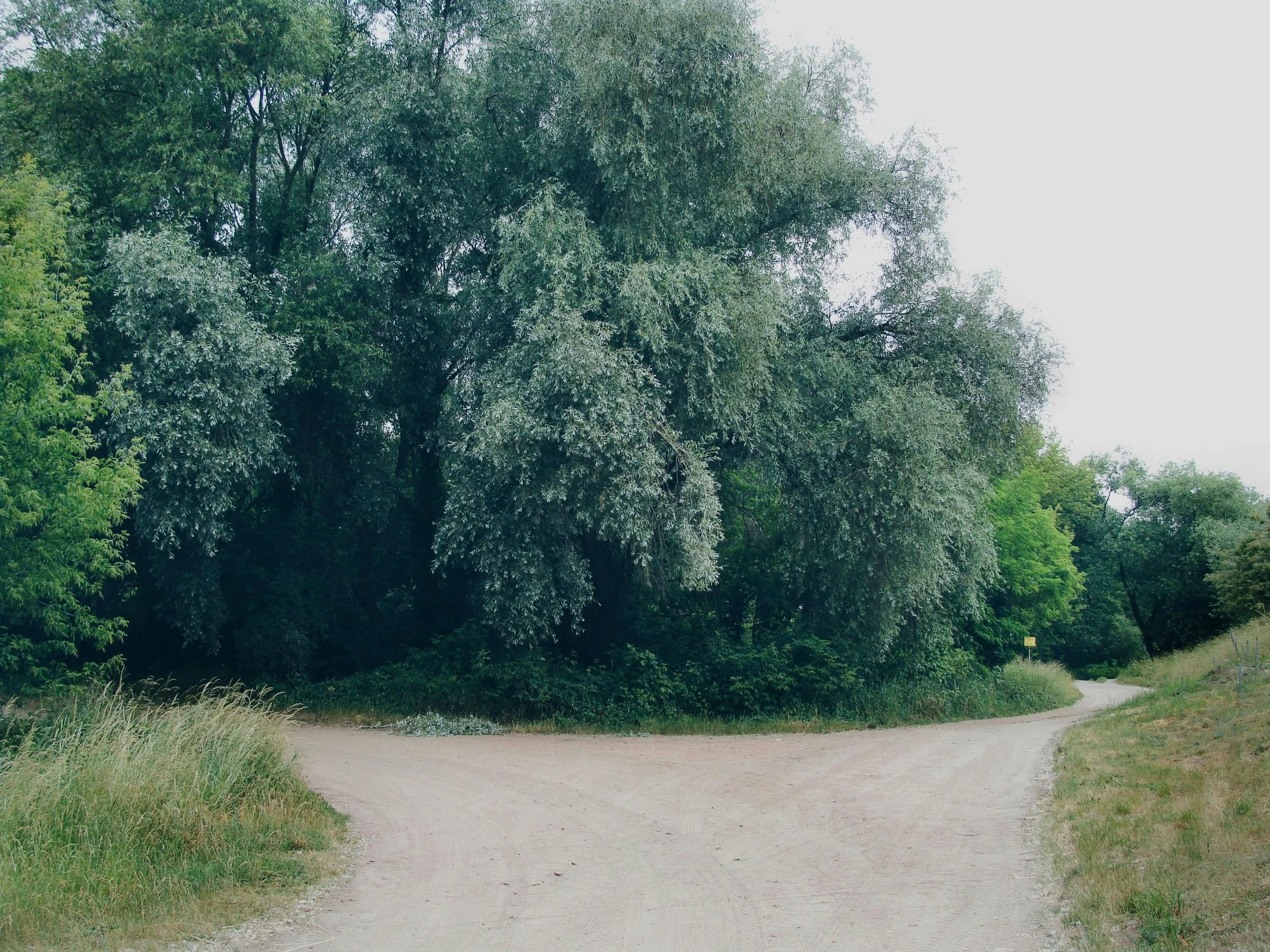 Dirt road crossing a wooded area with lush green trees and grasses on both sides.