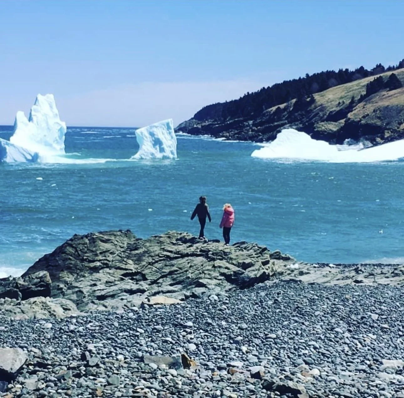Two children walking on rocks near the ocean with icebergs and snowy cliffs in the background.