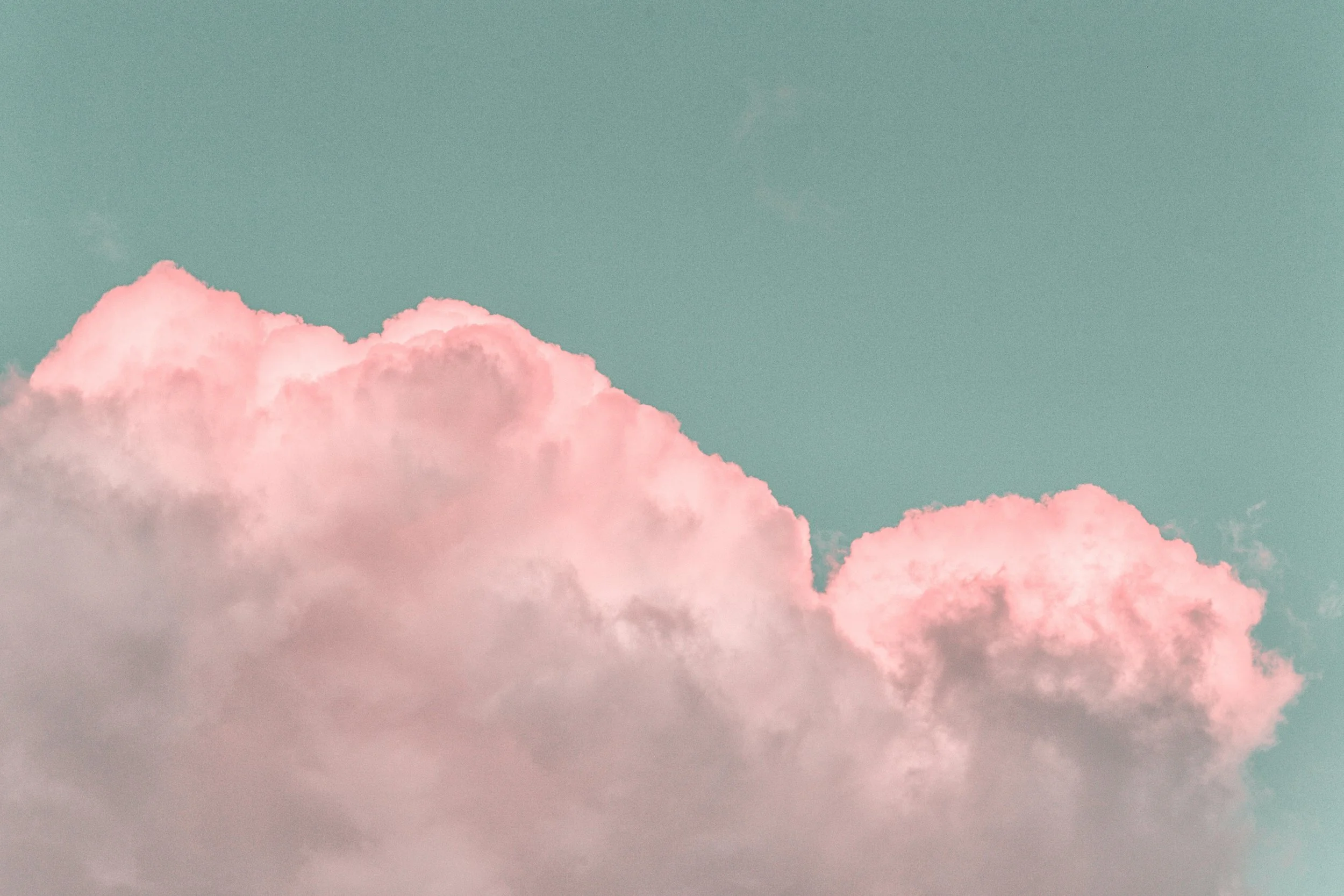 pexels-eberhardgross-2217366.jpg