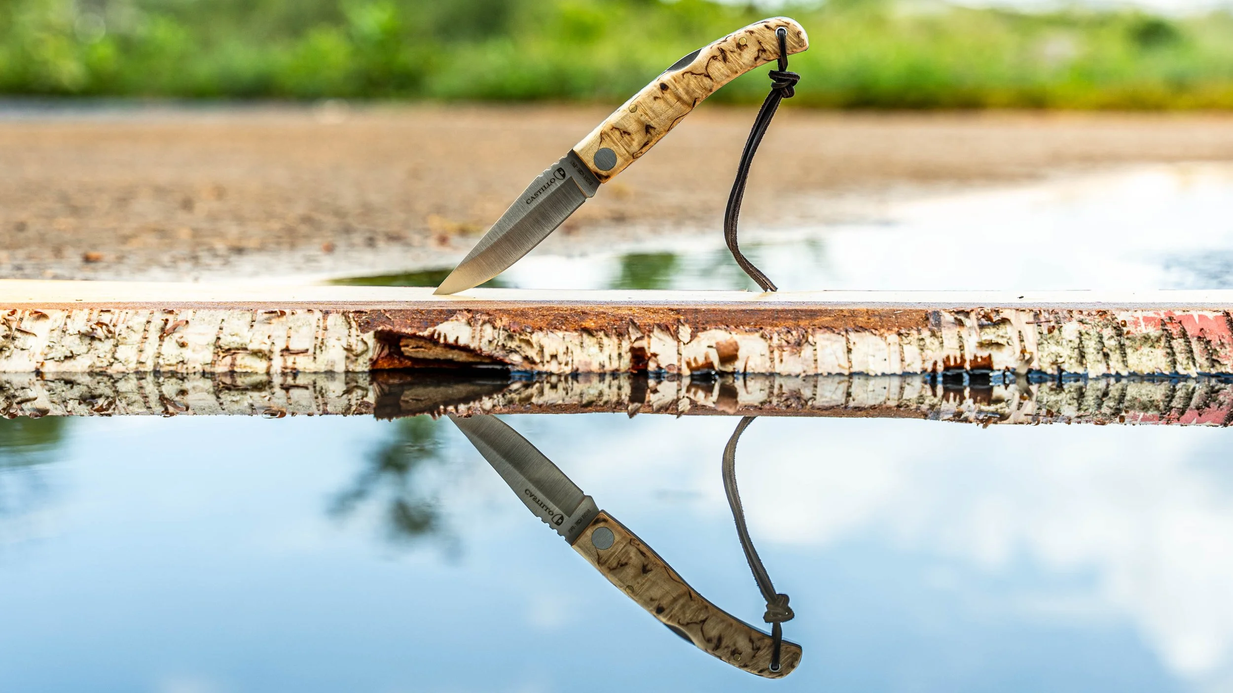 A birch wood folding knife handle with a black lanyard is stuck into the surface of a piece of wood and the reflection of the knife is visible in the water below. The scene is outdoors, with a blurred background of green grass and a pathway.