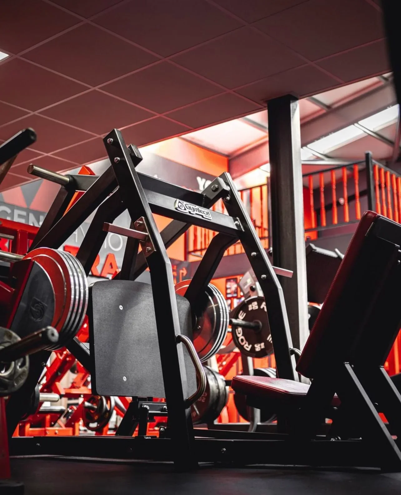 043 Gymleco Hip Press