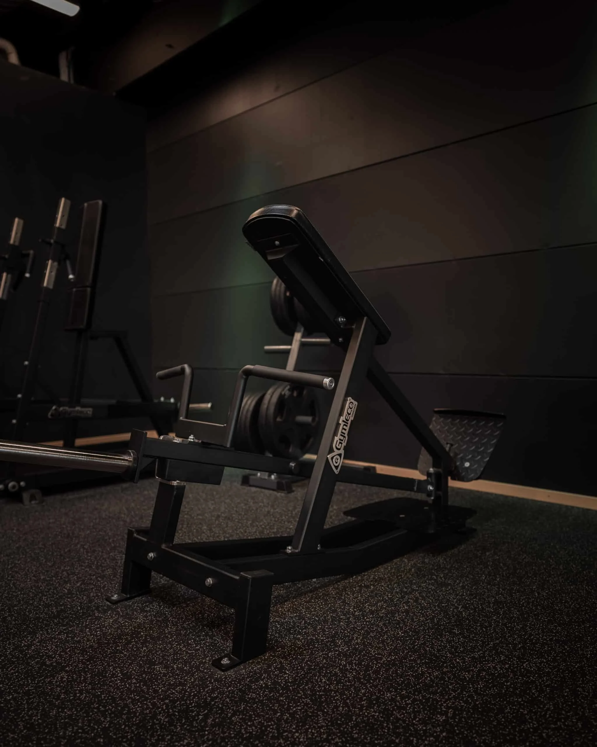 116 Gymleco Incline T-Bar Row