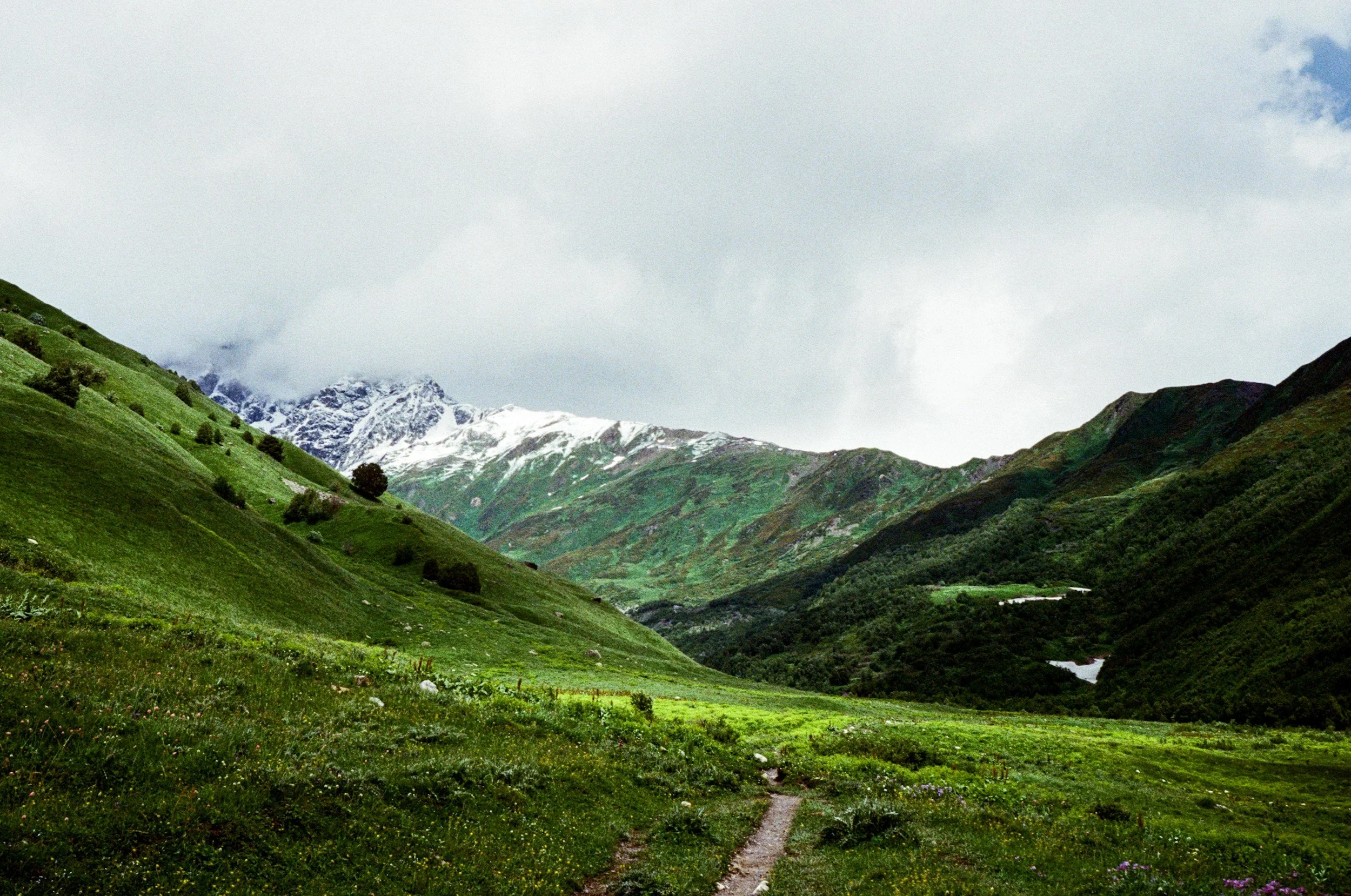 Green valley with a narrow dirt path leading toward snow-capped mountains under cloudy sky.