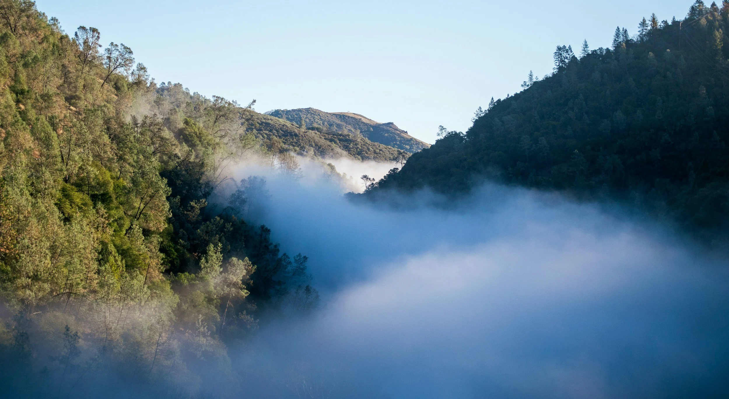A foggy valley surrounded by green hills with trees and mist rising between the hills under a clear blue sky.