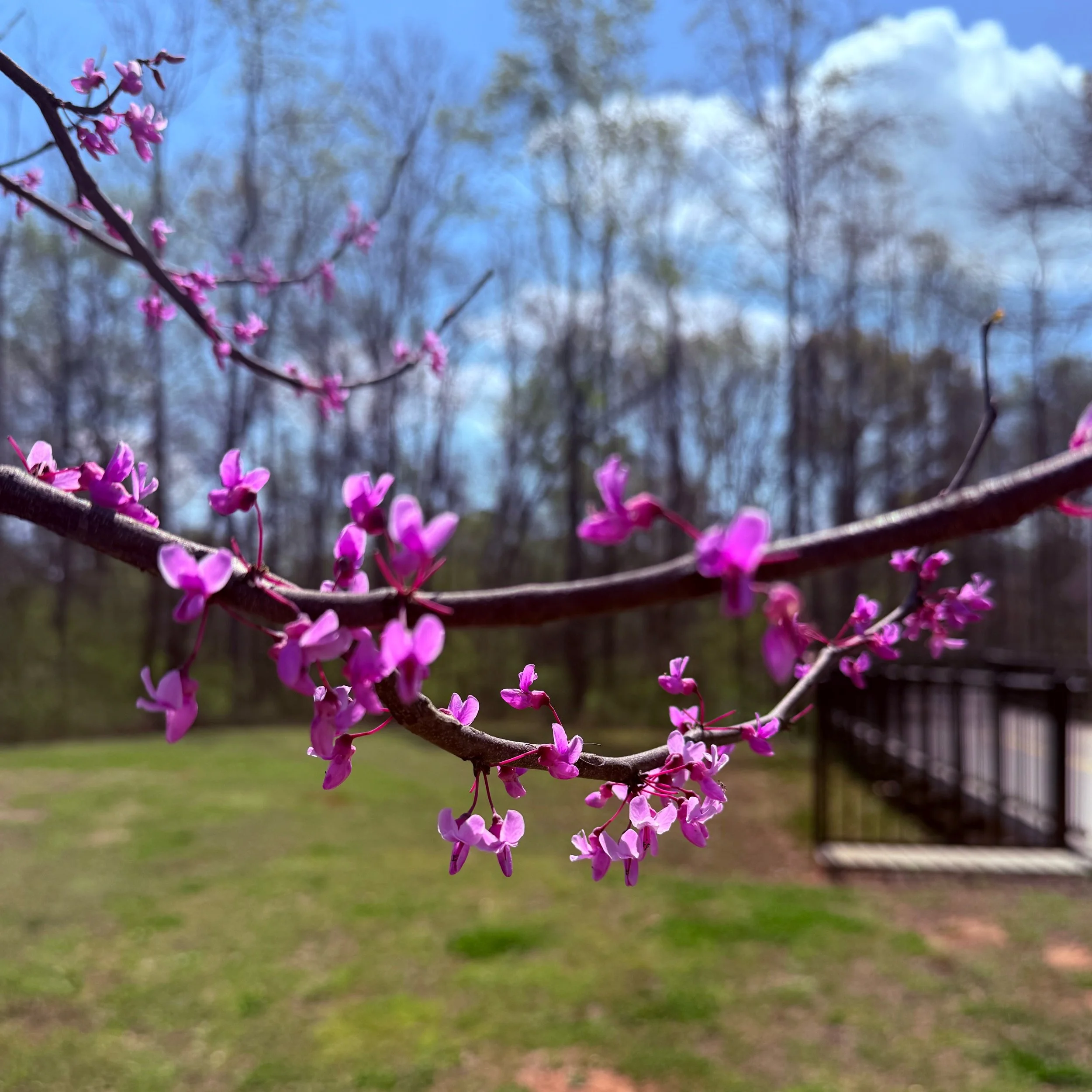 Finding Magic in the Mundane