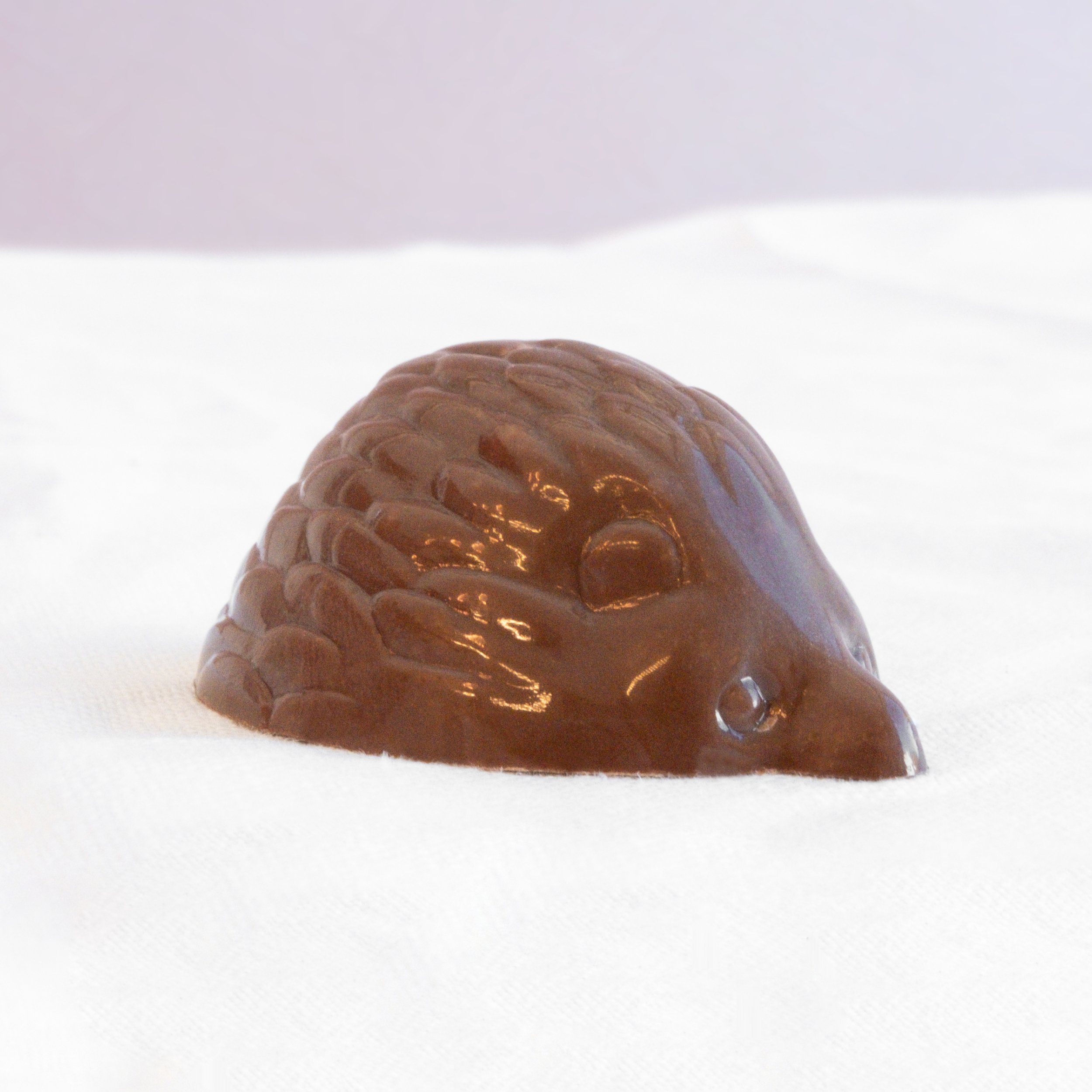 Chocolate Echidna