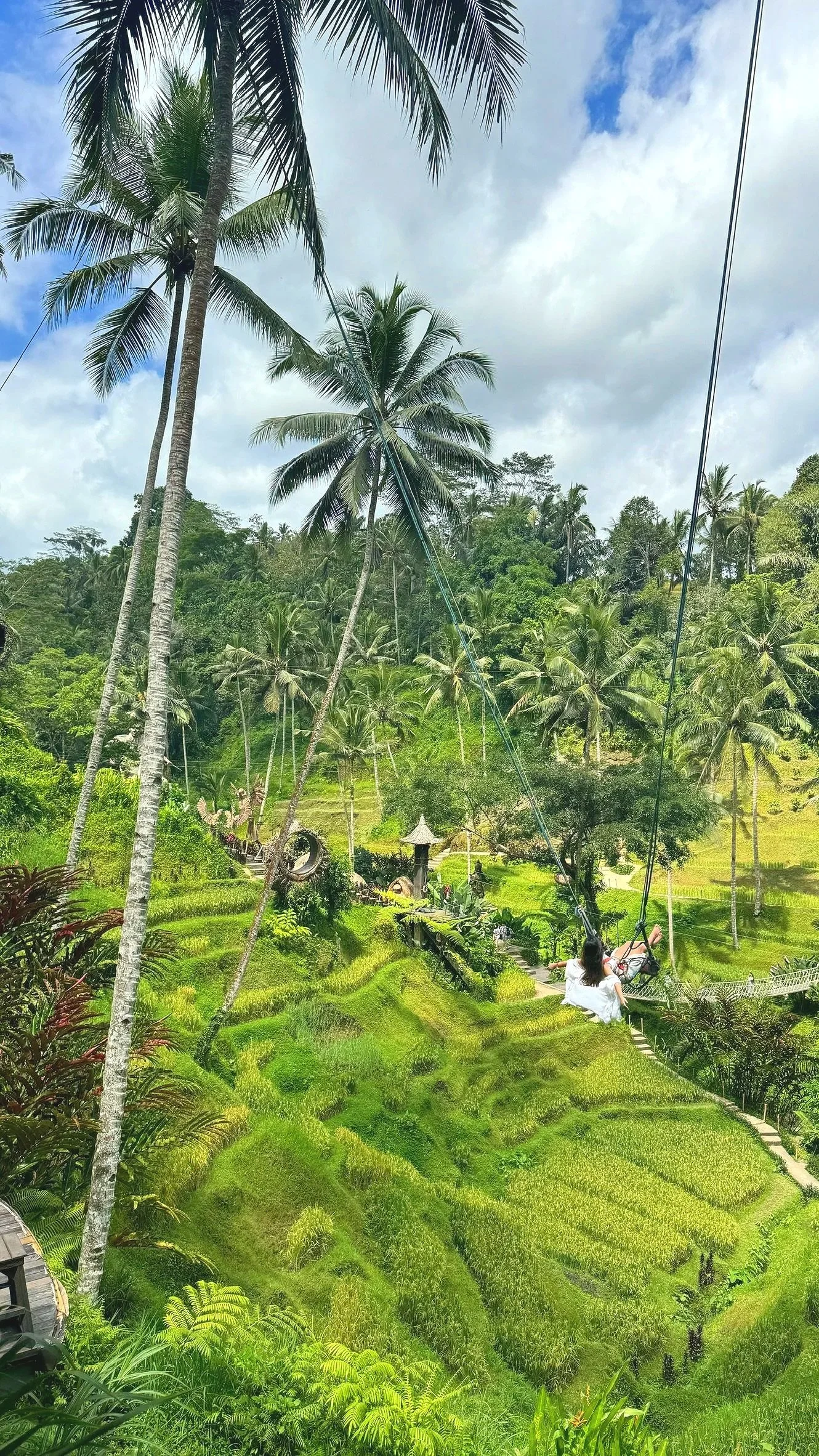 A person swinging on a large swing set hanging from tall palm trees in a lush, green tropical landscape with terraced rice fields and a cloudy sky.