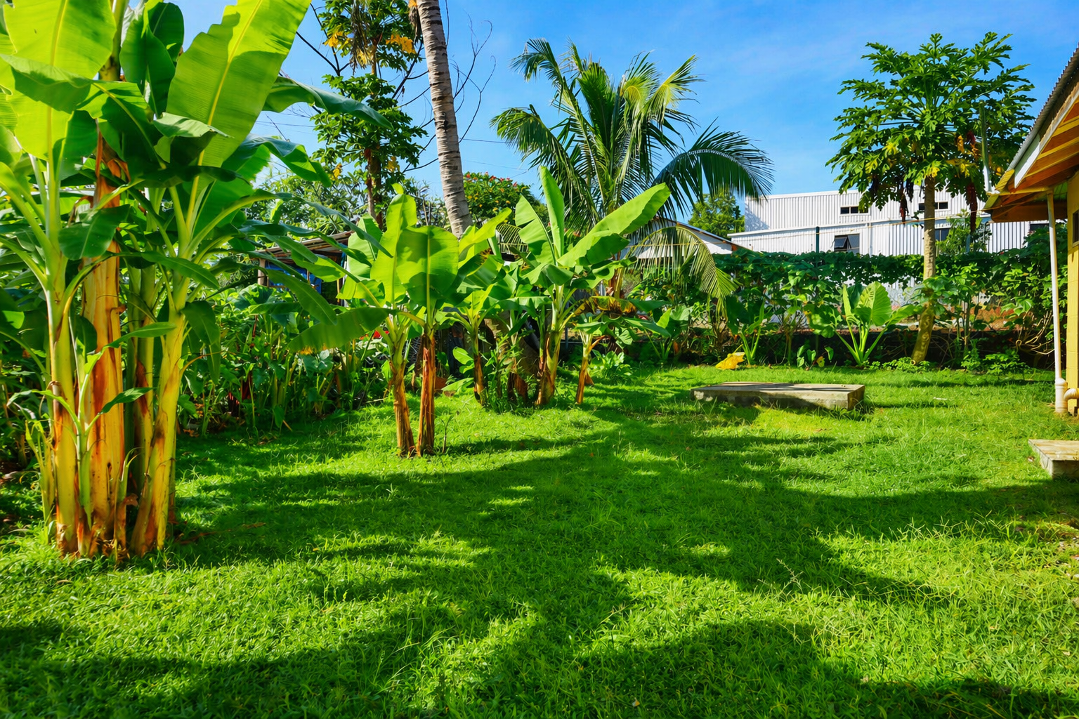 ChatGPT Image Apr 20, 2026 at 09_52_45 PM.png