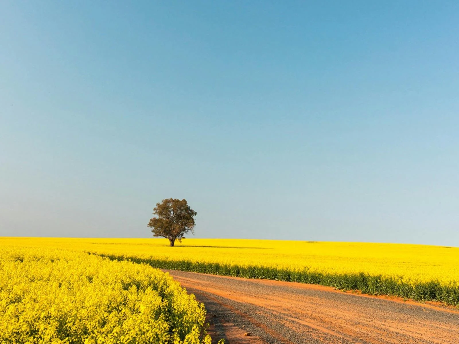 Weather Stations for Farming: Complete Guide to Agricultural Weather Monitoring