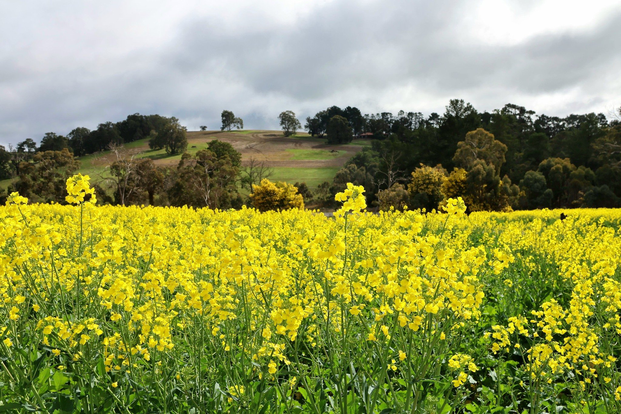 Benefits of On-Farm Weather Monitoring Systems