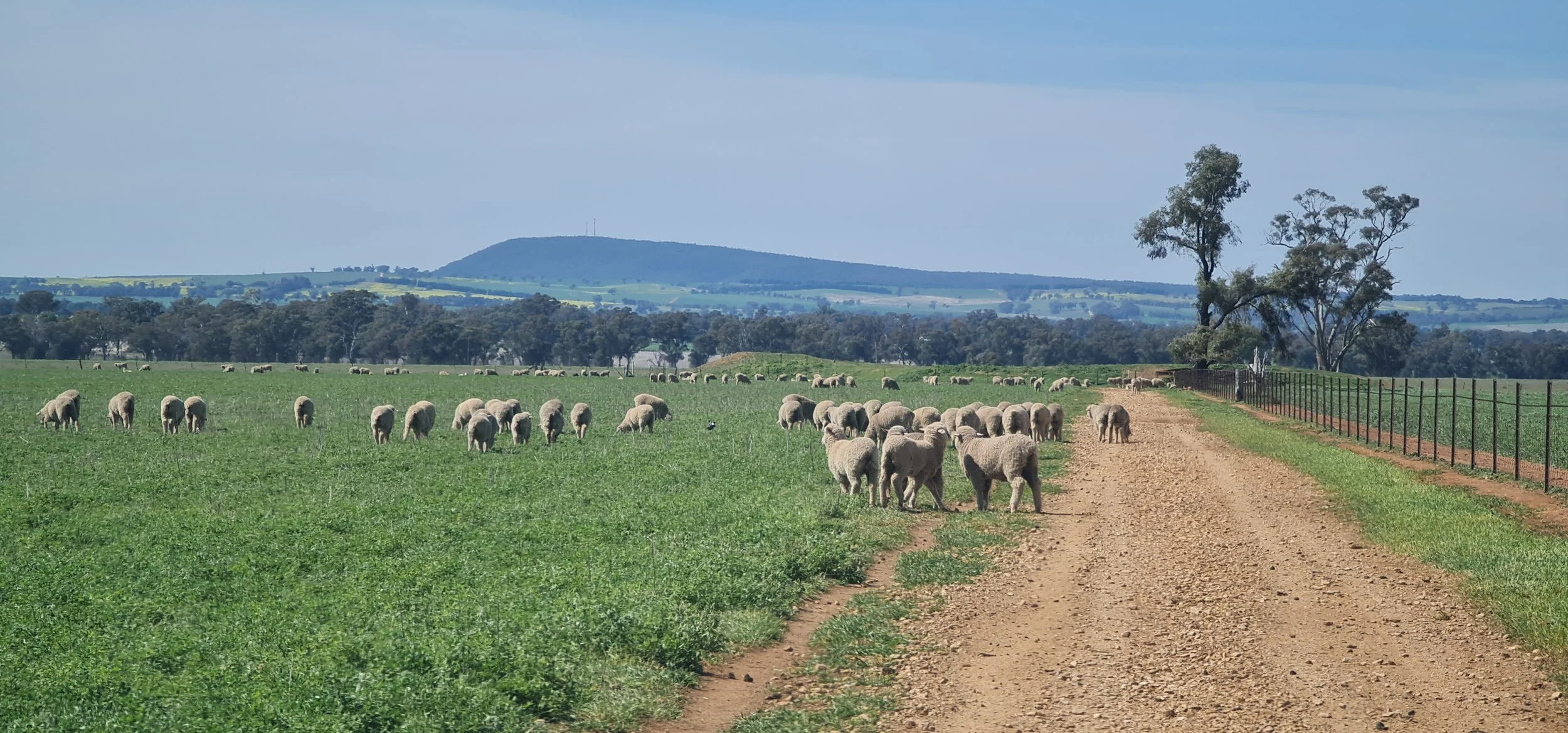 How to Choose a Farm Weather Station (2026 Buyer’s Guide)