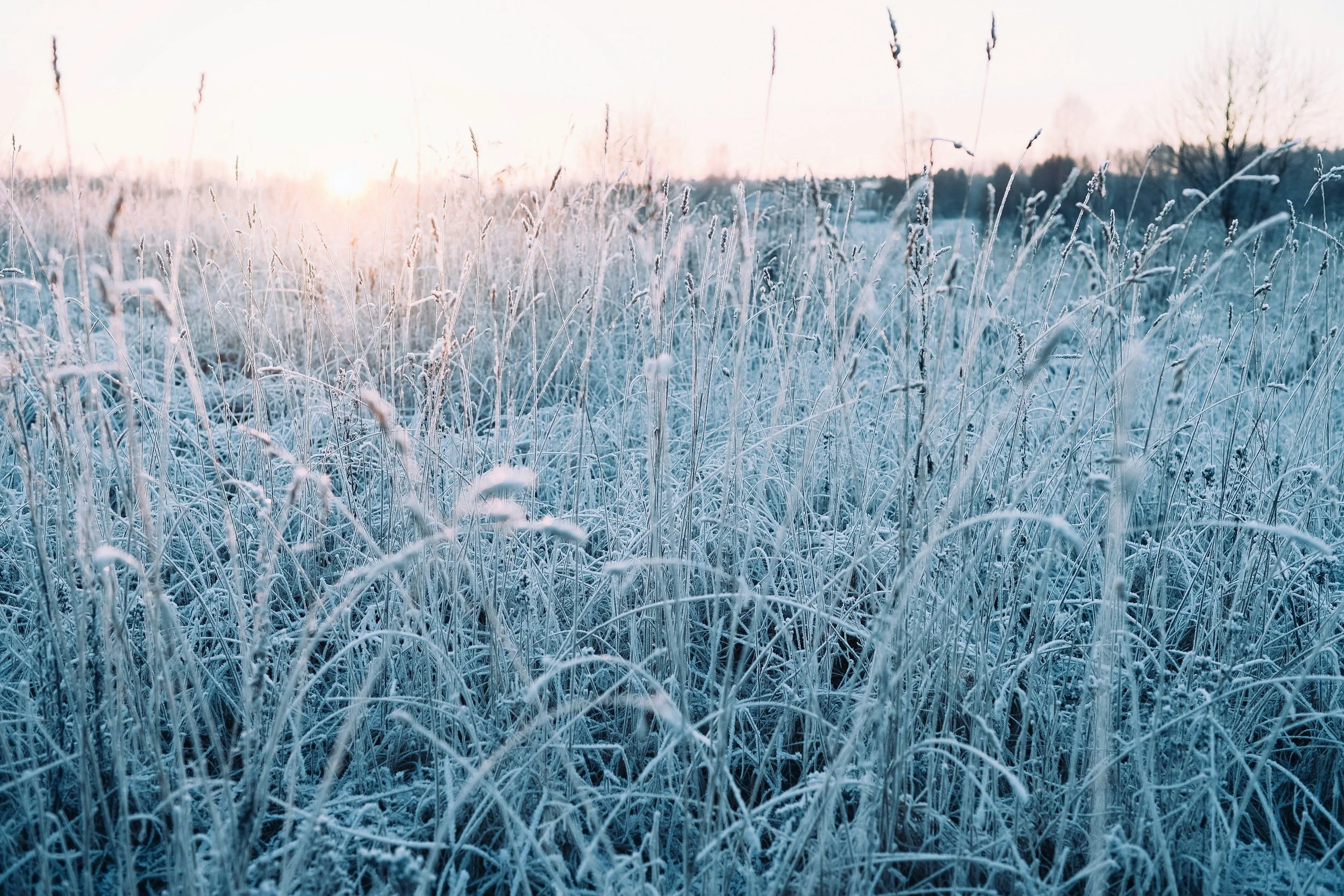 Frost Monitoring and Protection for Farms