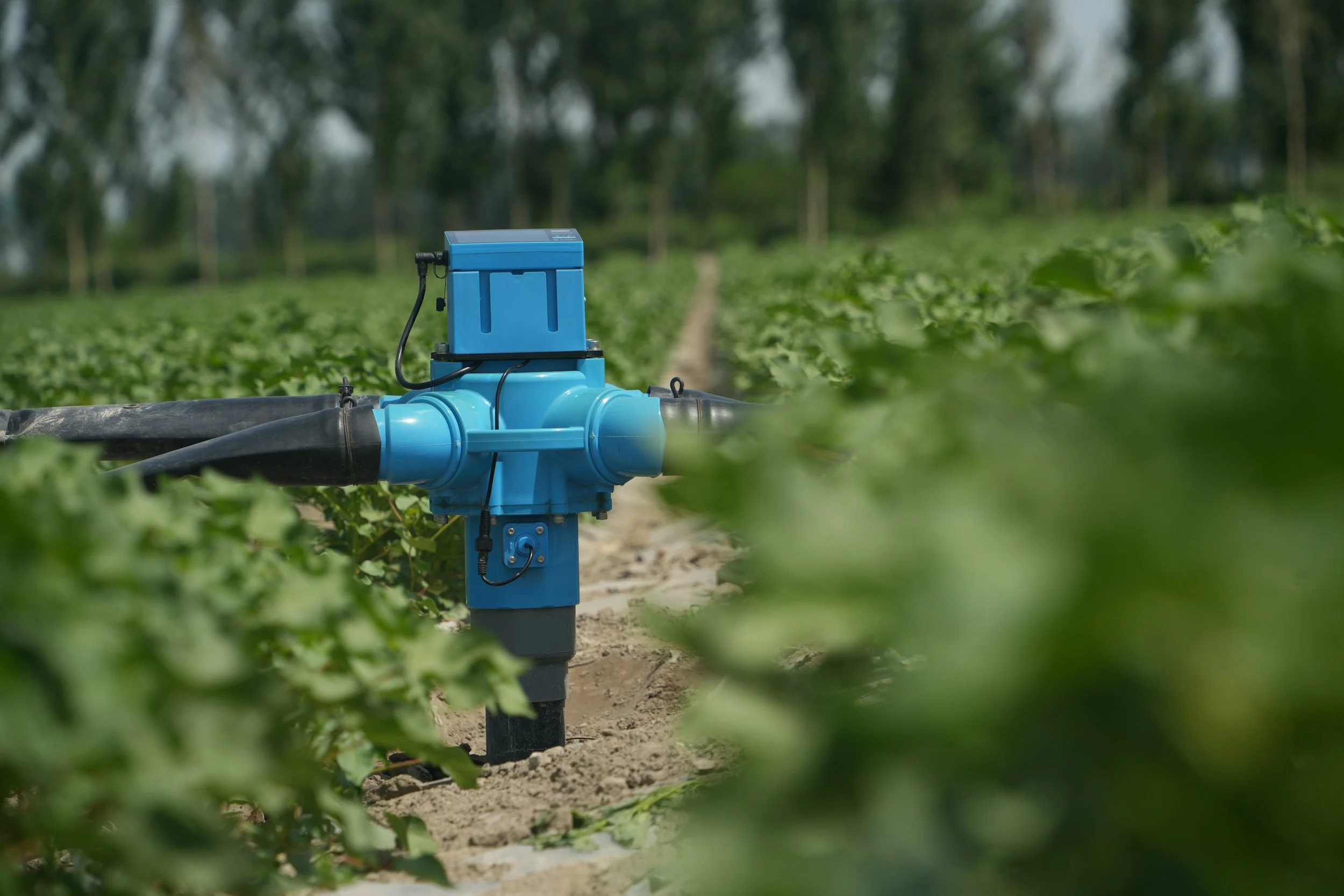 Irrigation Monitoring and Control: What It Is and How to Set It Up
