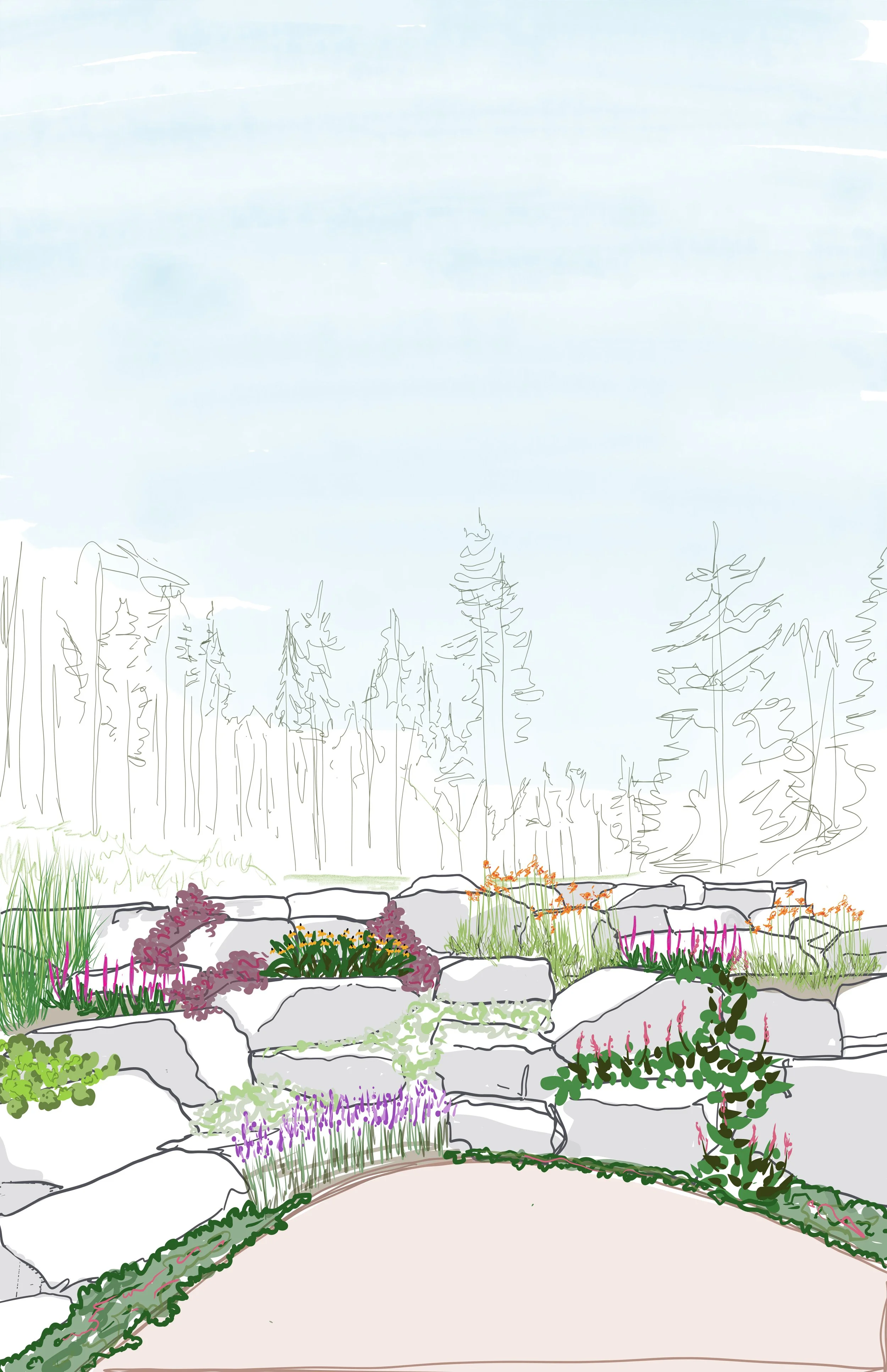 Illustration of a garden landscape with flowering plants, shrubs, a stone border, and a background of trees under a cloudy sky.