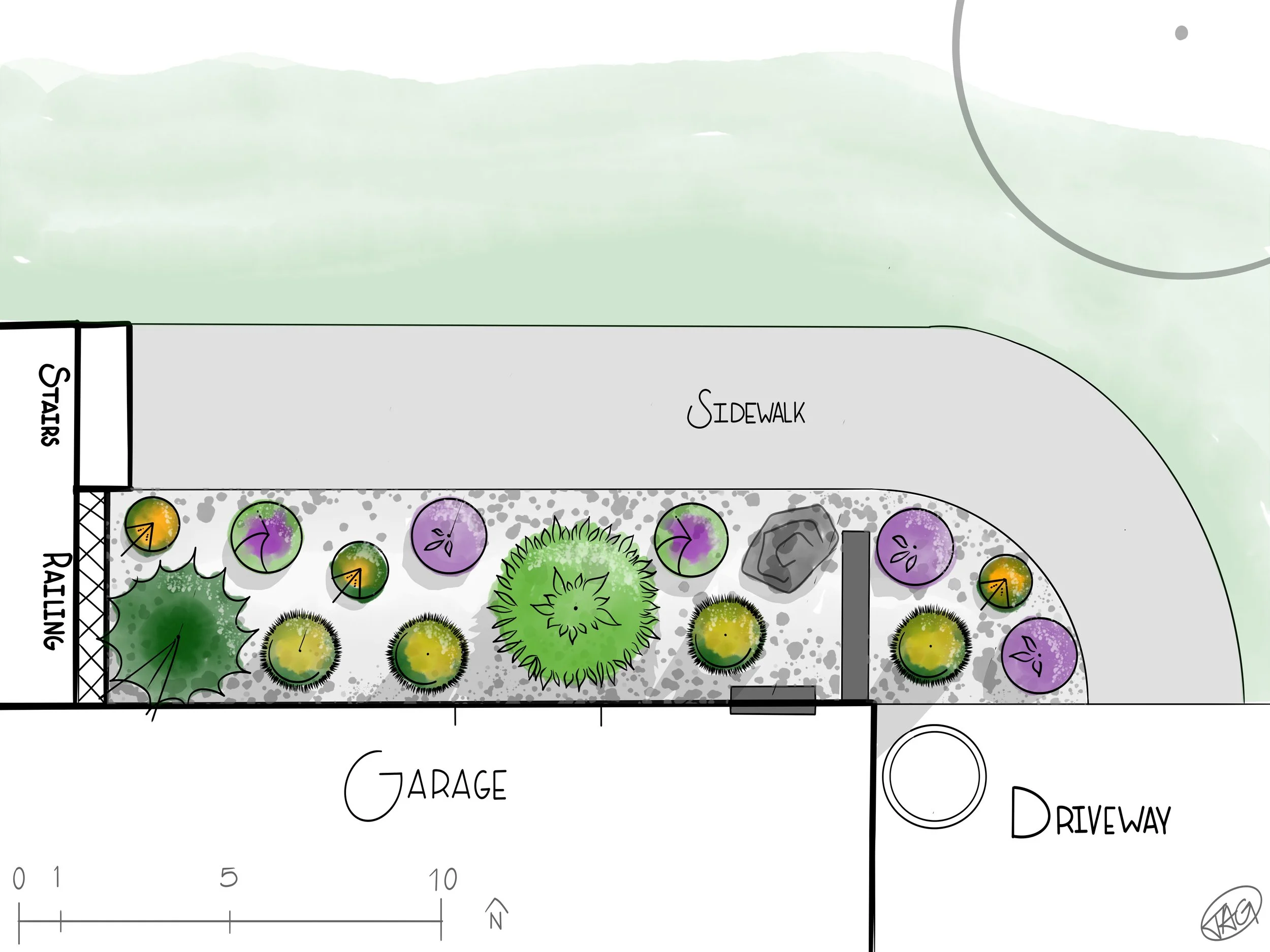 Landscape plan showing a sidewalk, driveway, garage, and a landscaped area with trees and plants, including purple, orange, and green foliage.
