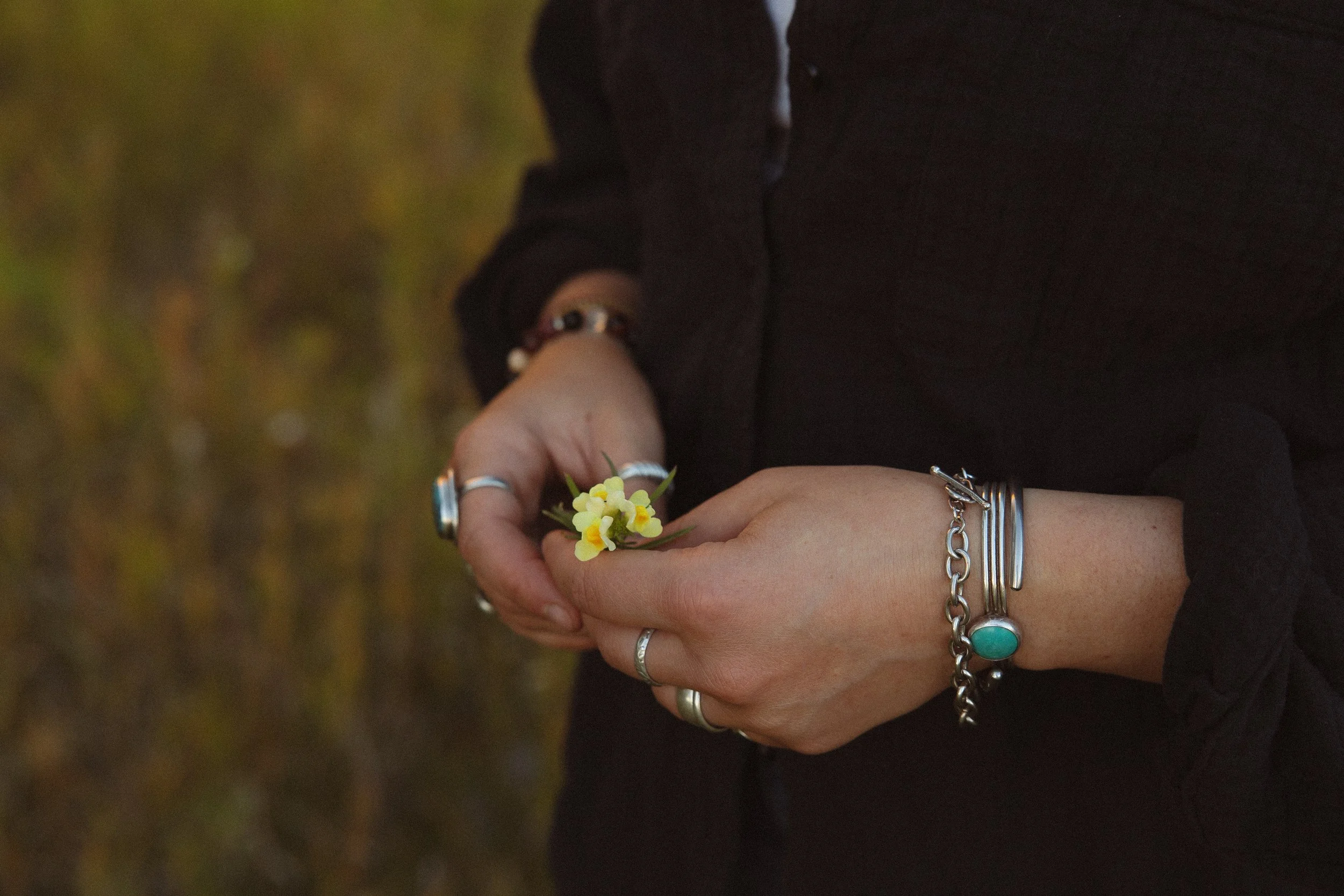 Person holding a small yellow and white flower, wearing multiple bracelets and rings on their hands, with a blurred greenish background.